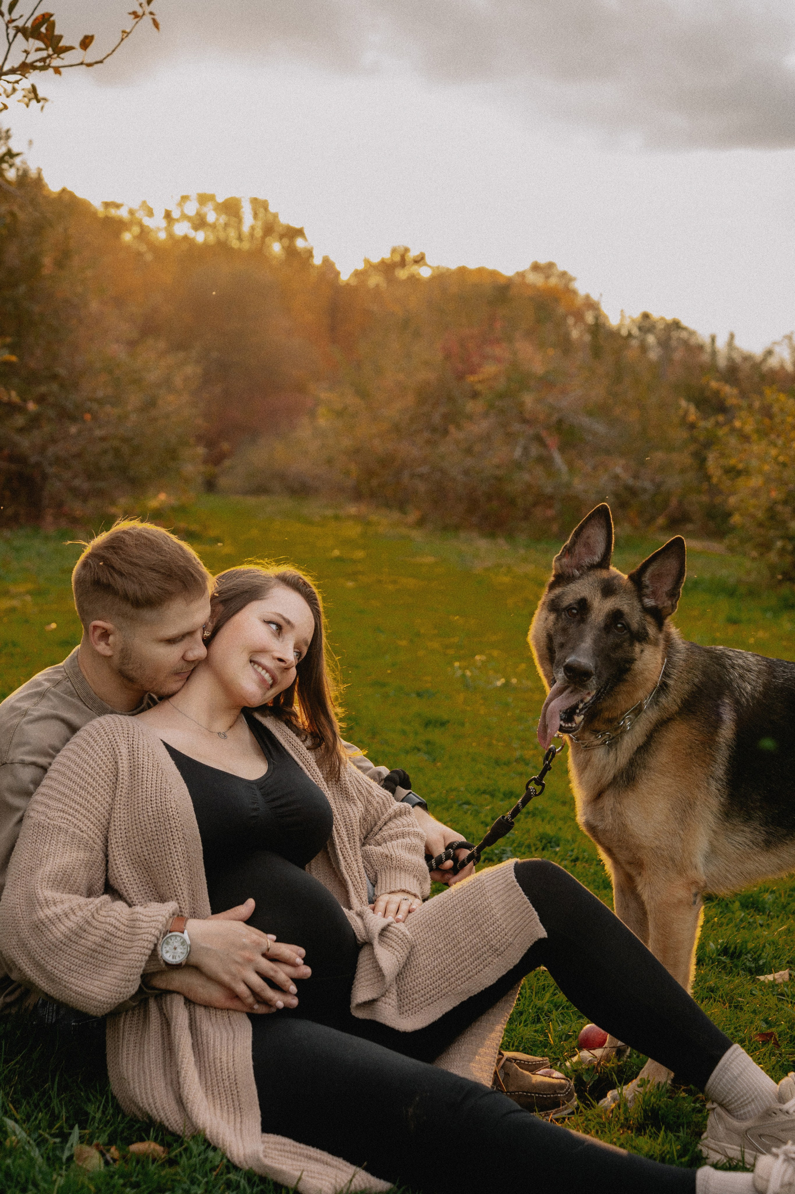Fall Maternity Photography – Golden Autumn & Apple Orchard Magic. Alisa Tant — Family and newborn photographer Bucks County, Montgomery county, Philadelphia, NJ