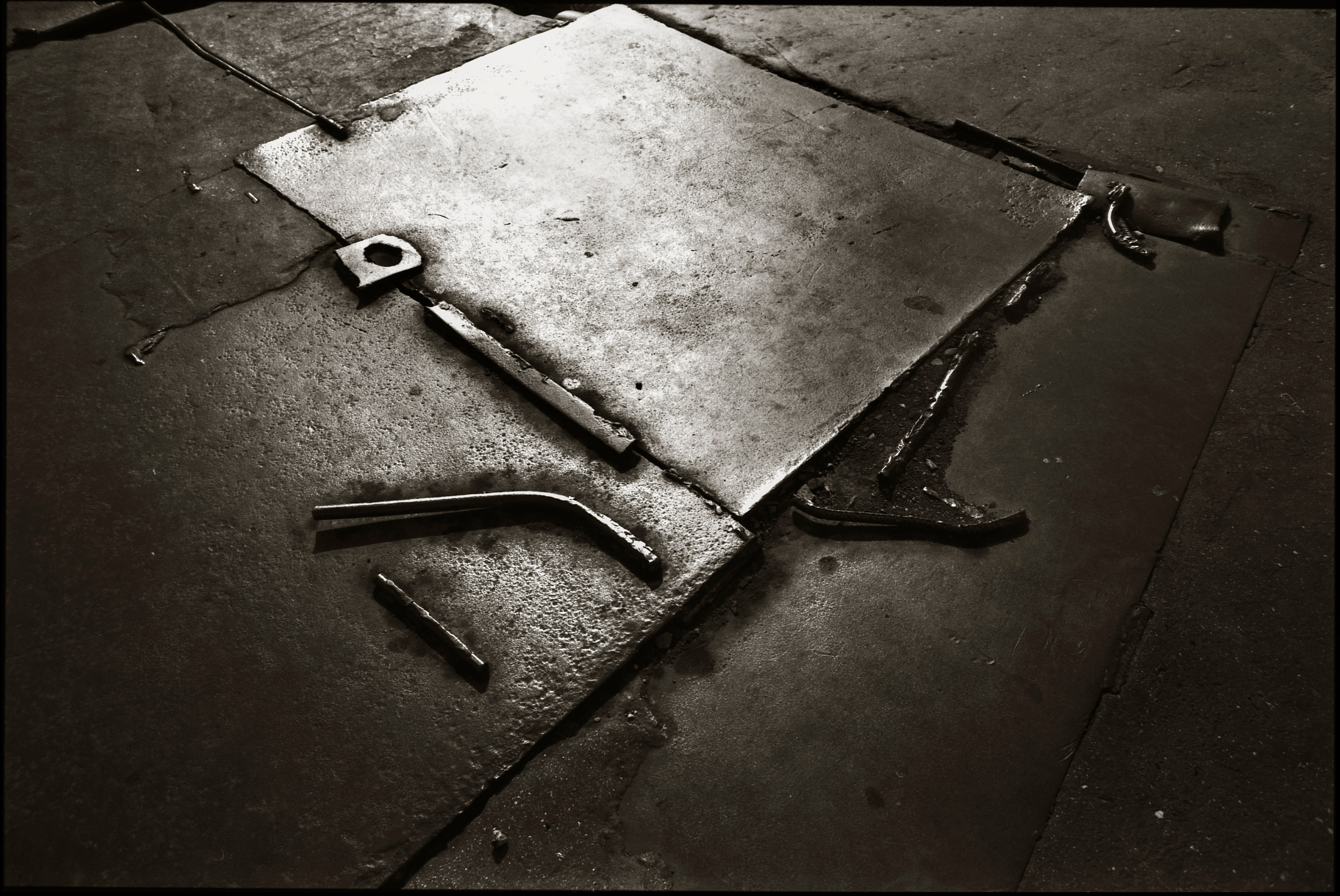 FIELD OF THE MASTER. Www.sananaleskerov.com