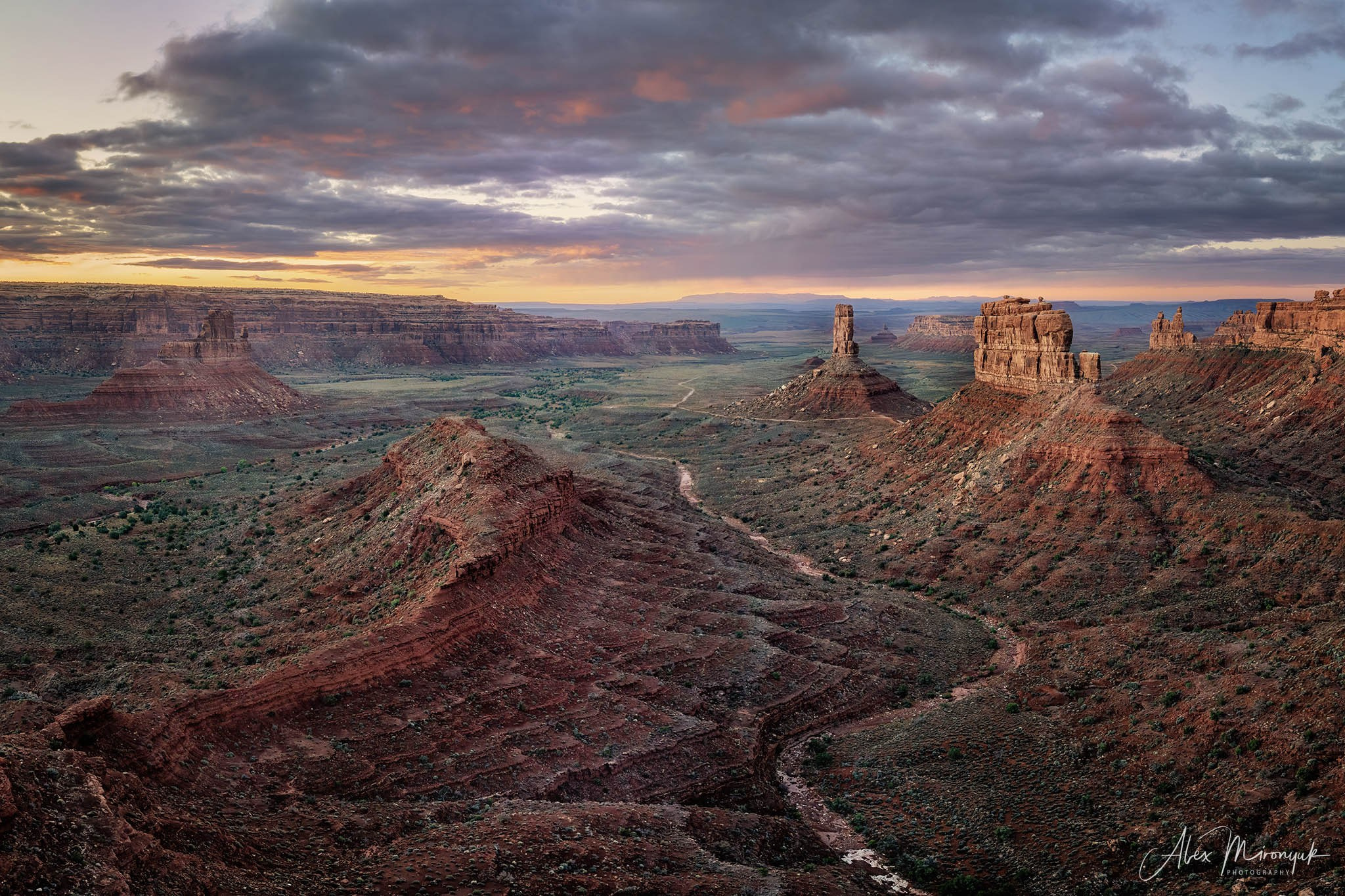 Eagle’s View American Southwest. Pet, Senior, Landscape, portrait studio, photographer in Miami and Sou