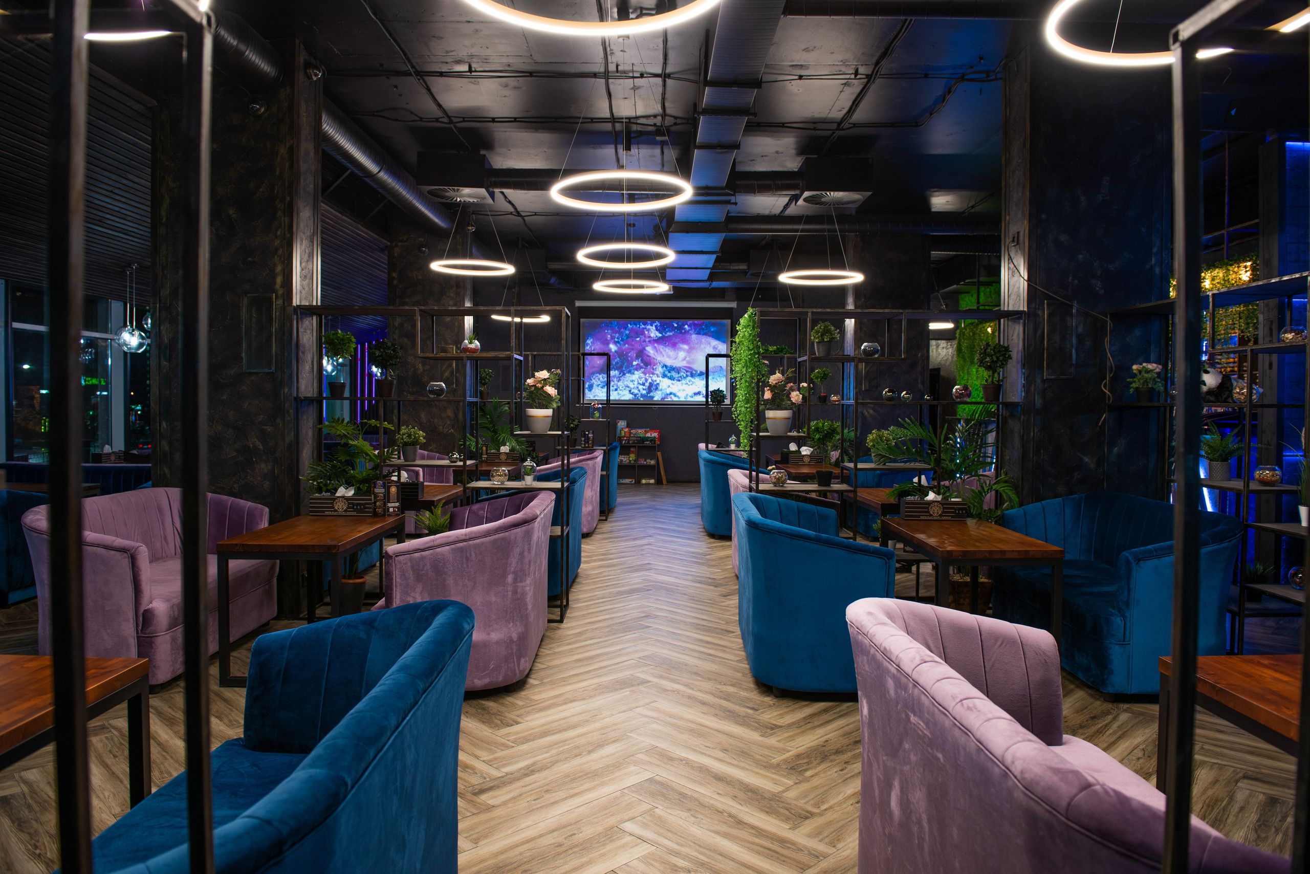 Кальянная Мята Platinum Химки. ФОТОГРАФ МЕКСИКА КИНТАНА-РОО