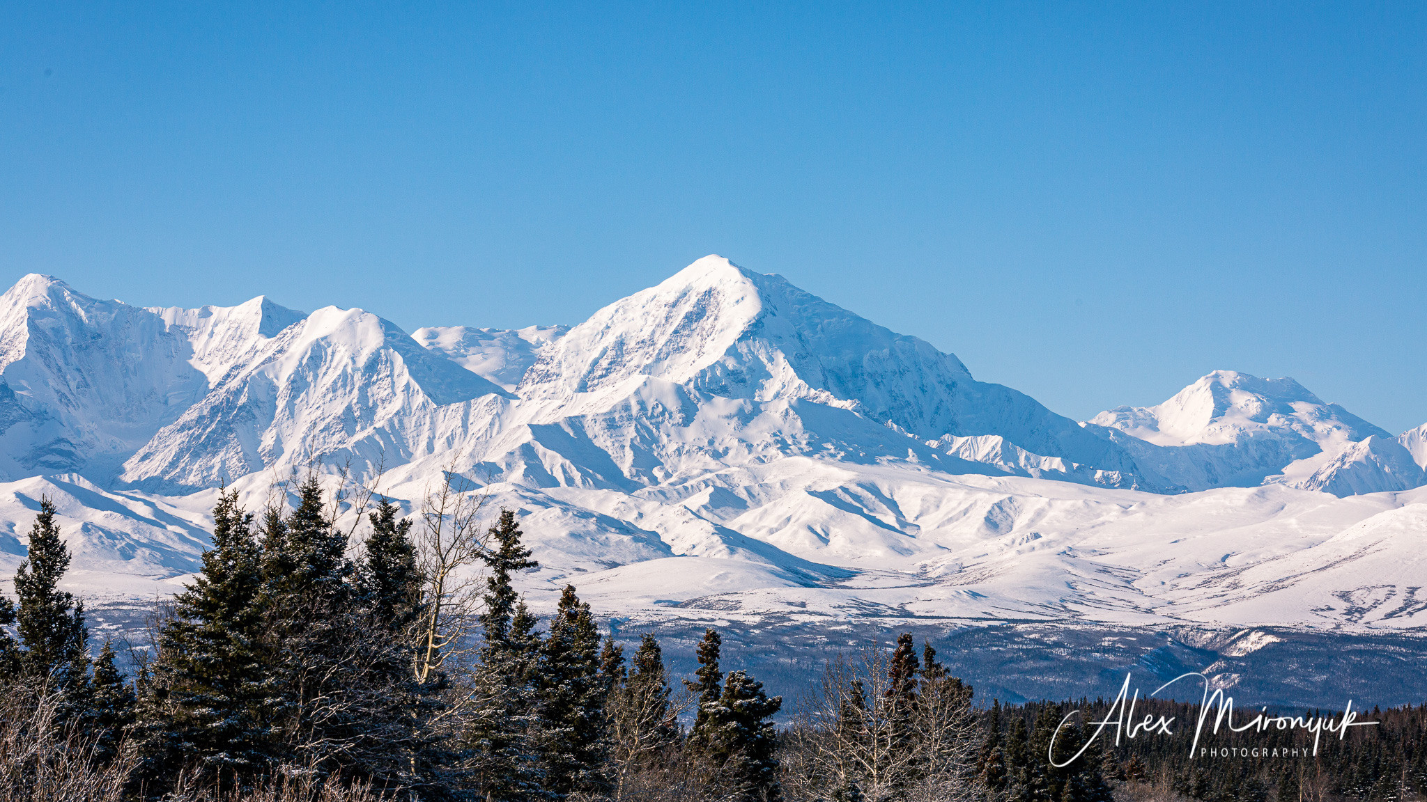 Ice Caves Adventure. Pet, Senior, Landscape, portrait studio, photographer in Miami and Sou