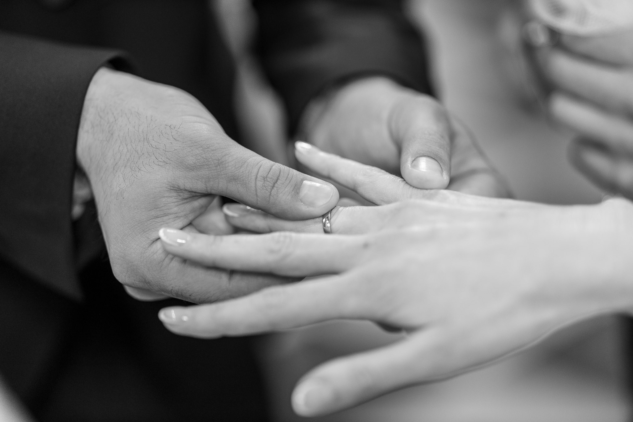 Ivana I Aleksa. Ljubica I Marko Weddings I Fotograf za venčanja Beograd, Srbija