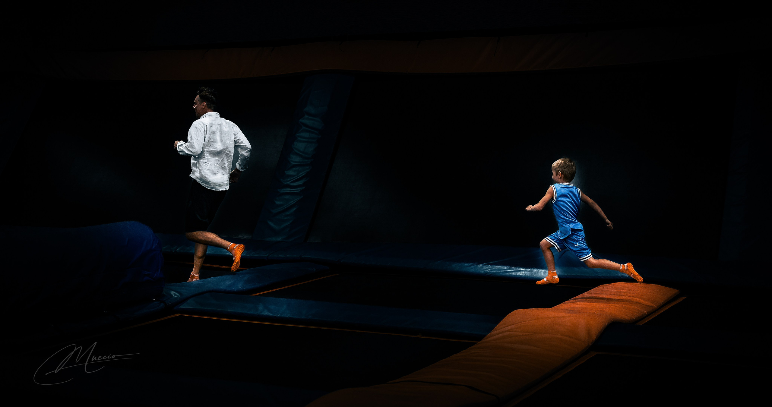 Home. Out and About 239