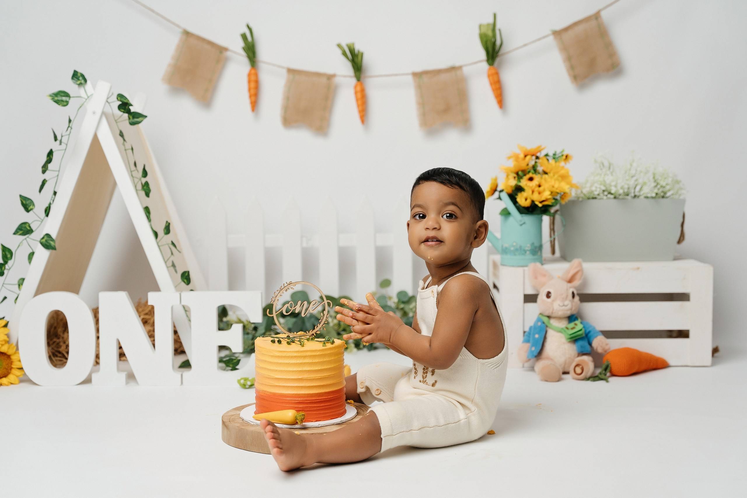 Peter rabbit cake smash session. Newborn and family photographer. Hills District. Sydney