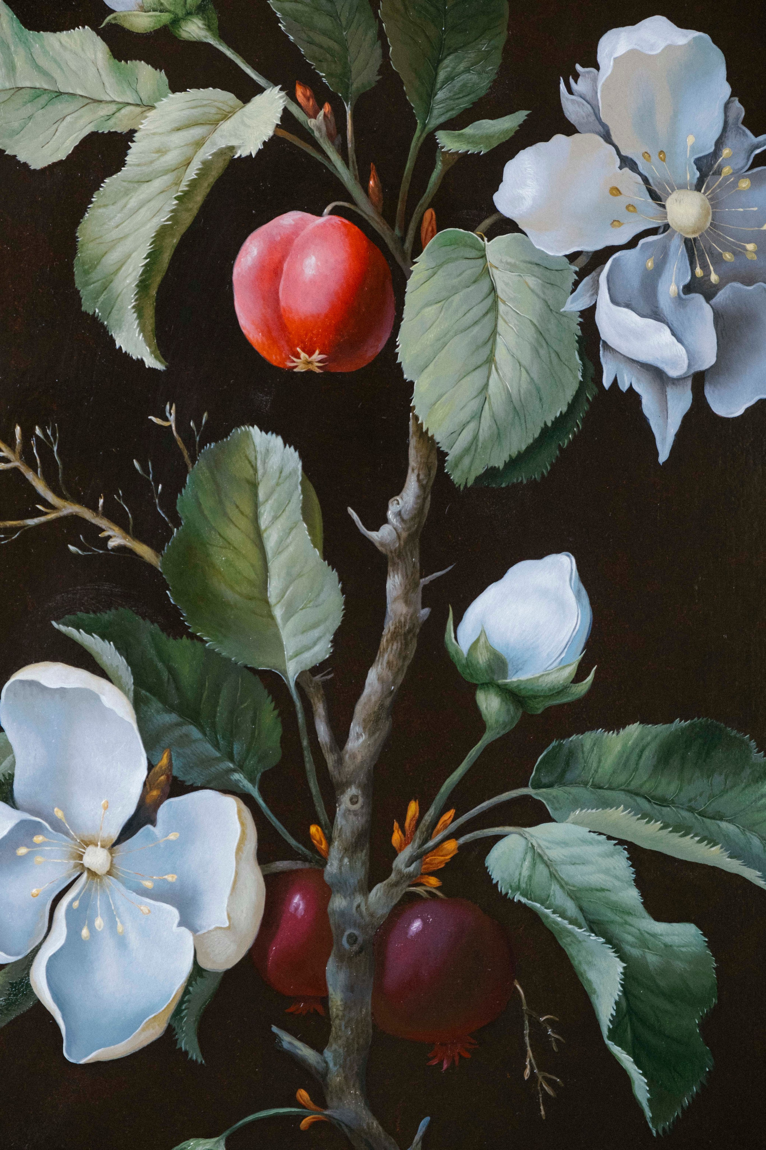 Pomegranate Branch. ELEN BEZHEN