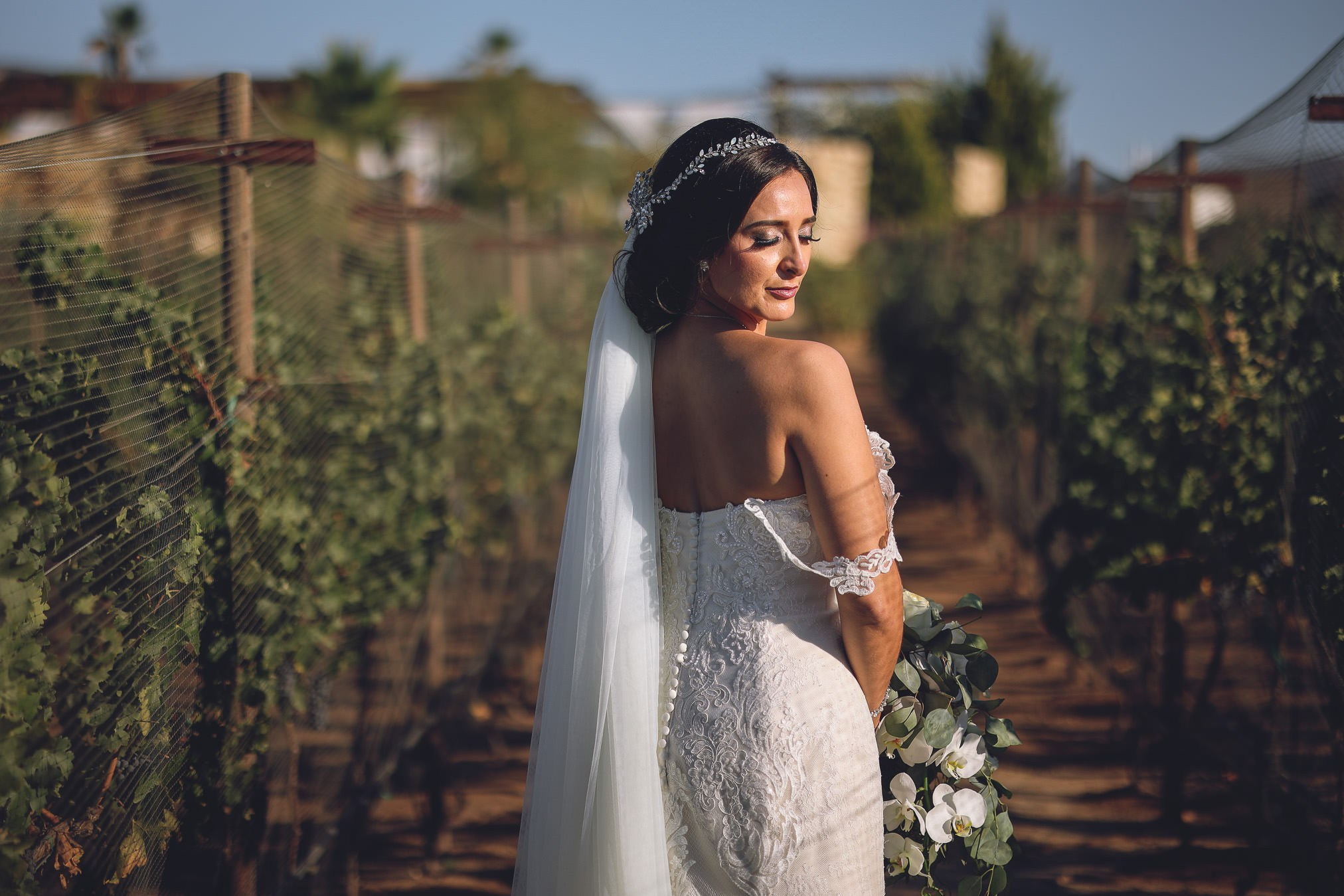 Rancho Carrizo + Luna del Valle Valle de Gpe Boda Ariadna y Javier. Estudio de fotografia en Tijuana