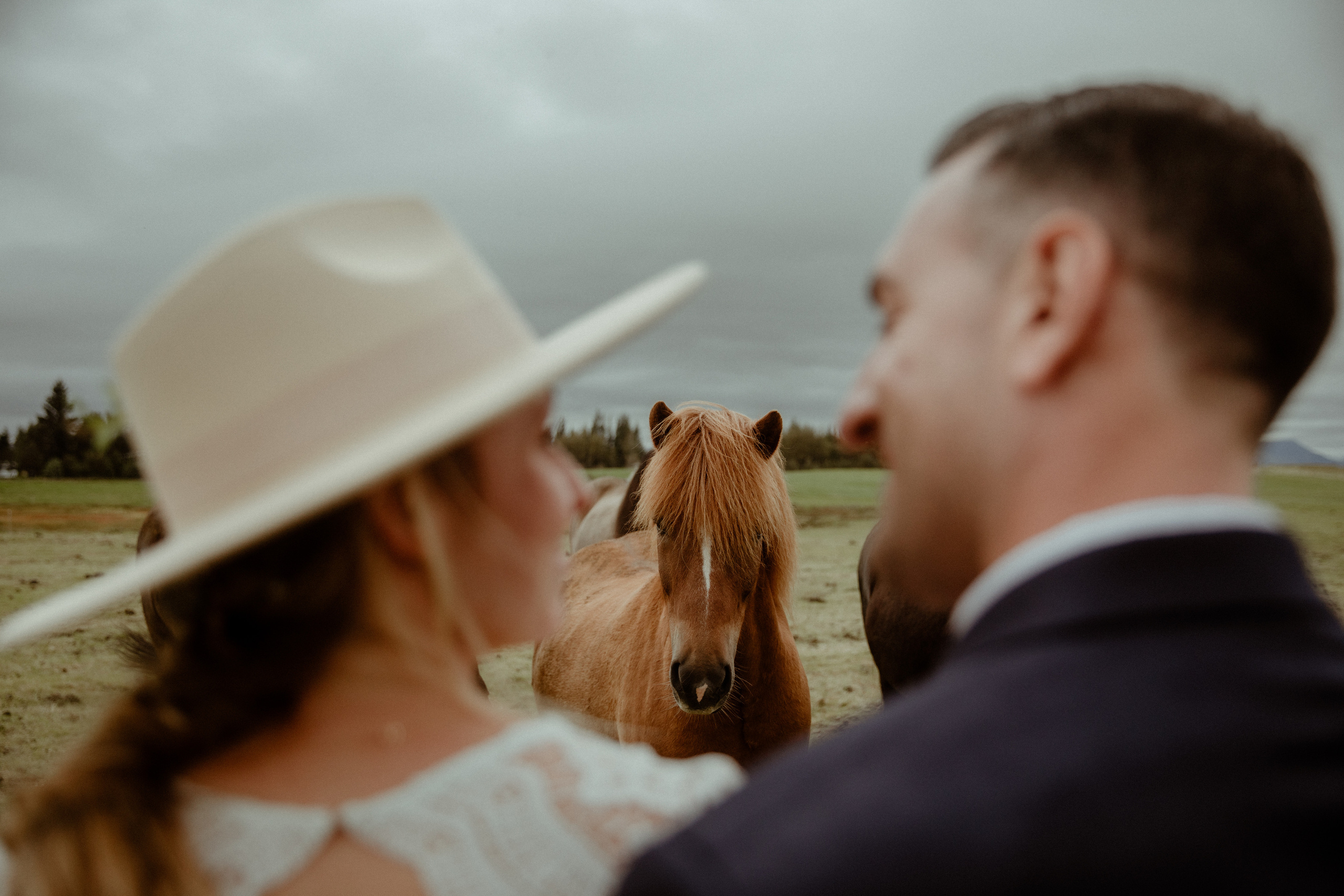 Mystical Elopement In Iceland. Iceland elopement photographer & videographer