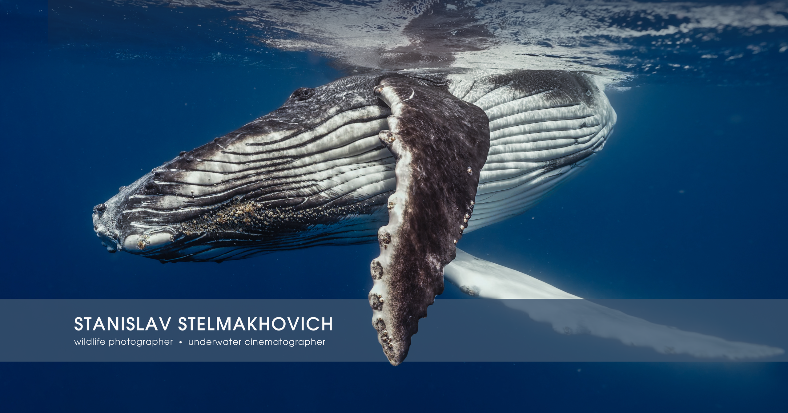 STANISLAV STELMAKHOVICH photographer