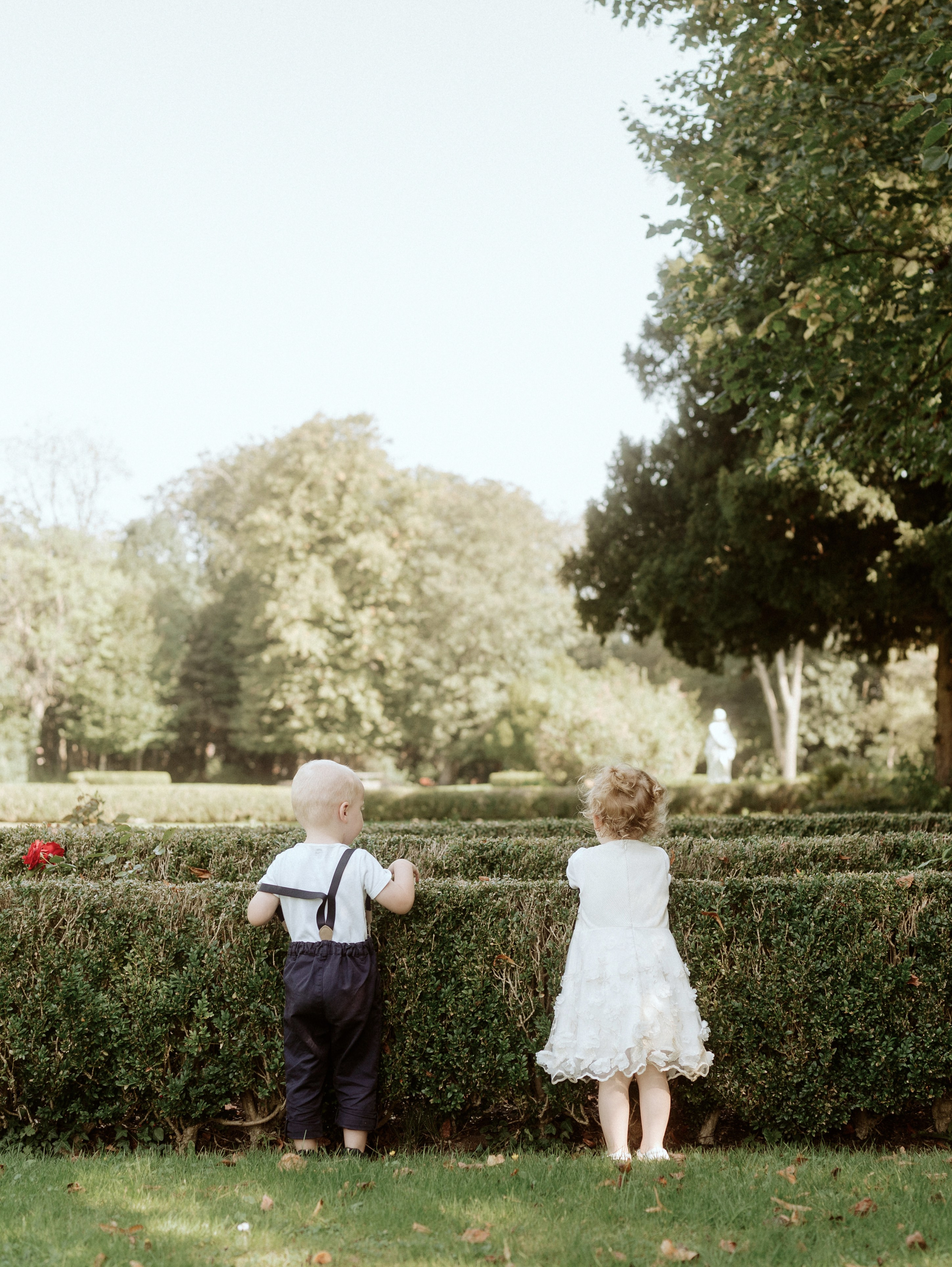 Wedding Photography - Augenblicke Des Lebens