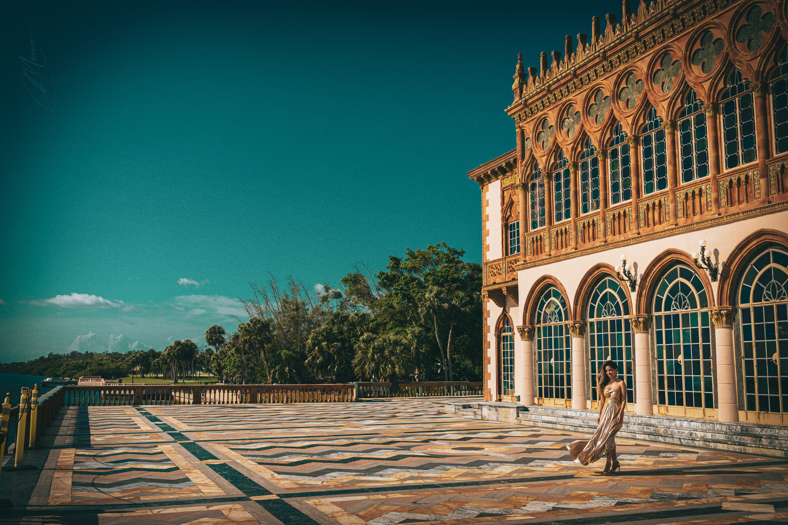 Home. Out and About 239