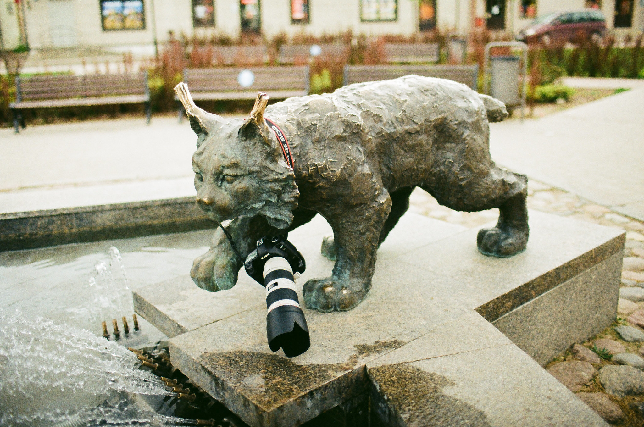 Fotogrāfs Jēkabpilī un fotosesija Jēkabpilī. Kāzu × Ģimenes notikumu fotografs Edgars Kalniņš
