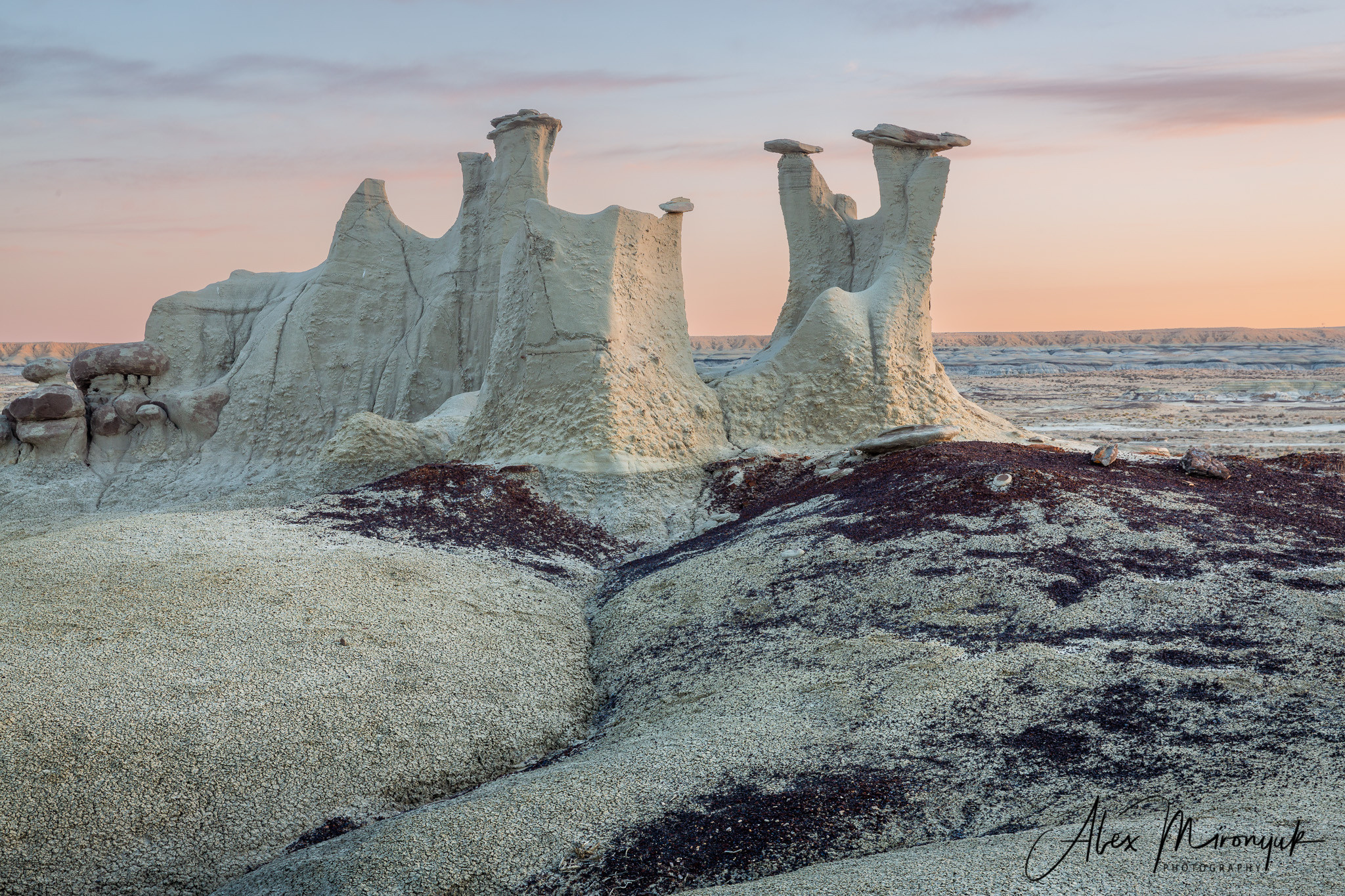 Badlands of New Mexico Unlimited. Pet, Senior, Landscape, portrait studio, photographer in Miami and Sou