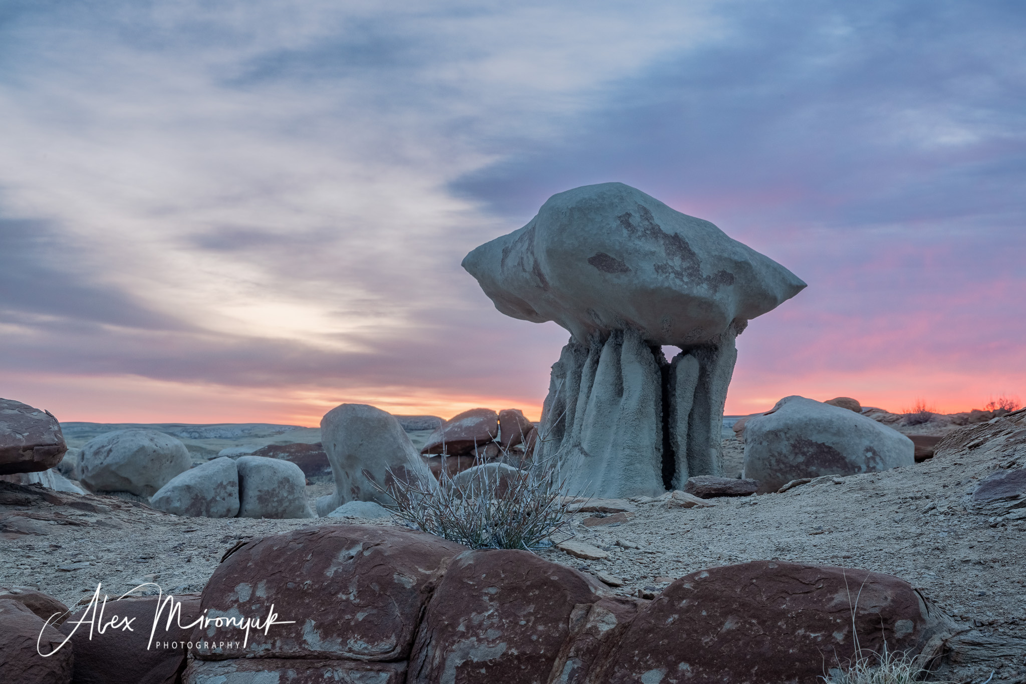 Badlands of New Mexico Unlimited. Pet, Senior, Landscape, portrait studio, photographer in Miami and Sou