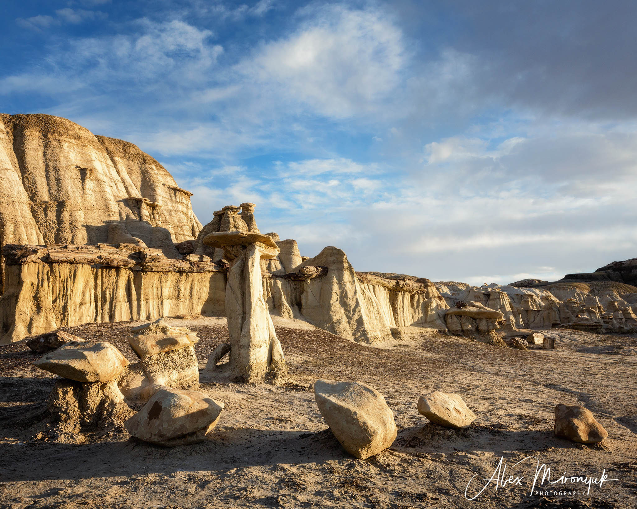 Badlands of New Mexico Unlimited. Pet, Senior, Landscape, portrait studio, photographer in Miami and Sou