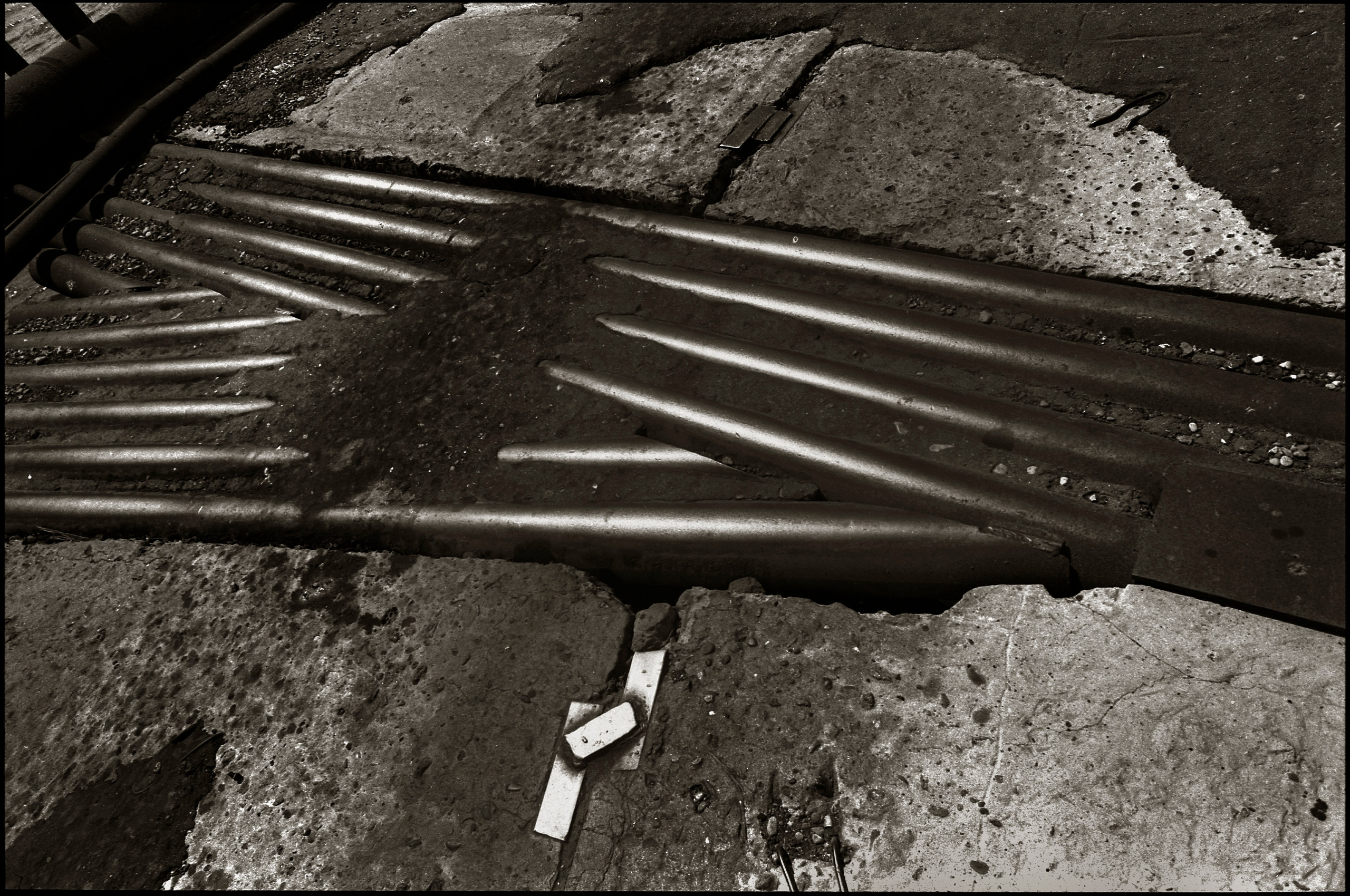 FIELD OF THE MASTER. Www.sananaleskerov.com