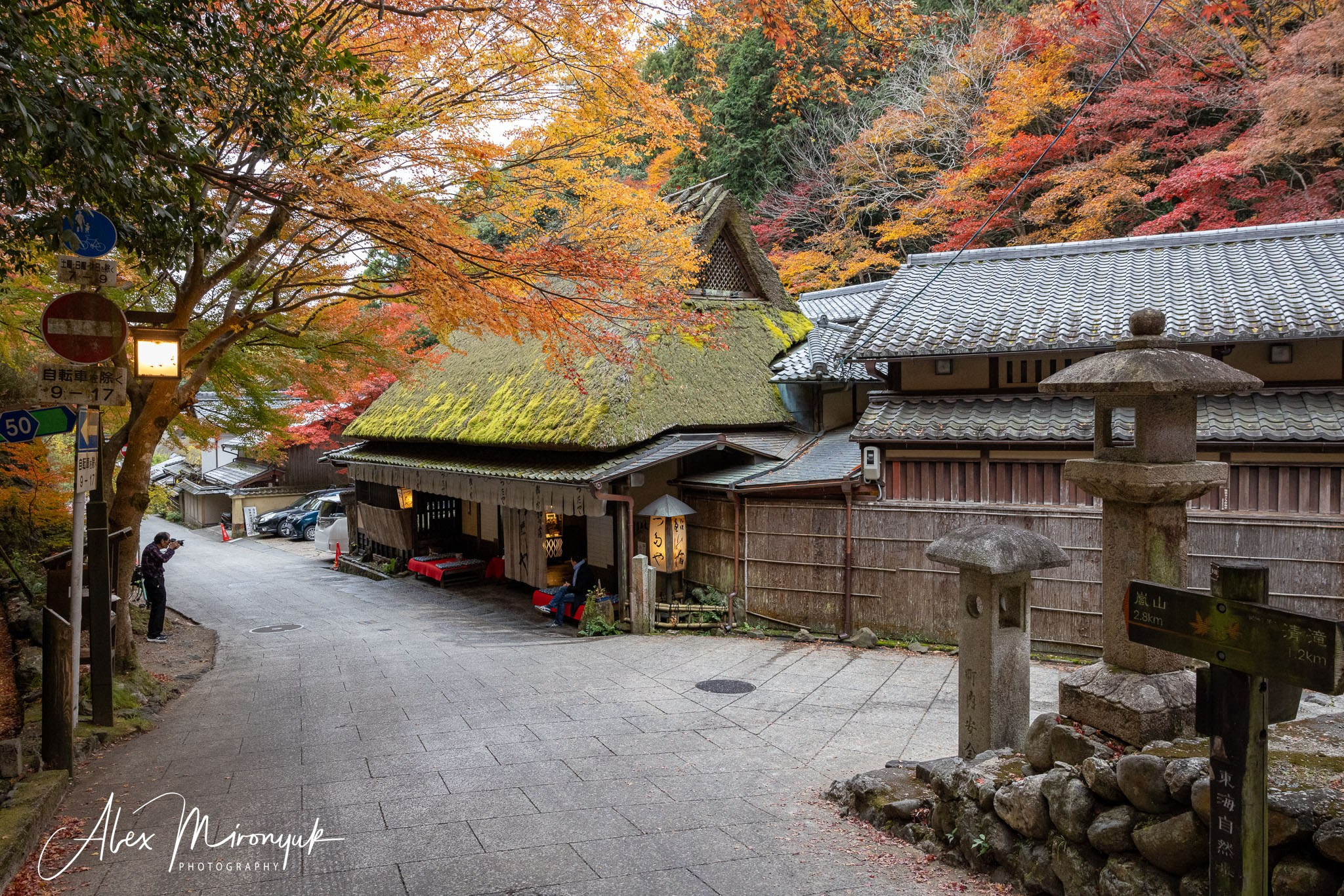Autumn Colors of Japan. Pet, Senior, Landscape, portrait studio, photographer in Miami and Sou