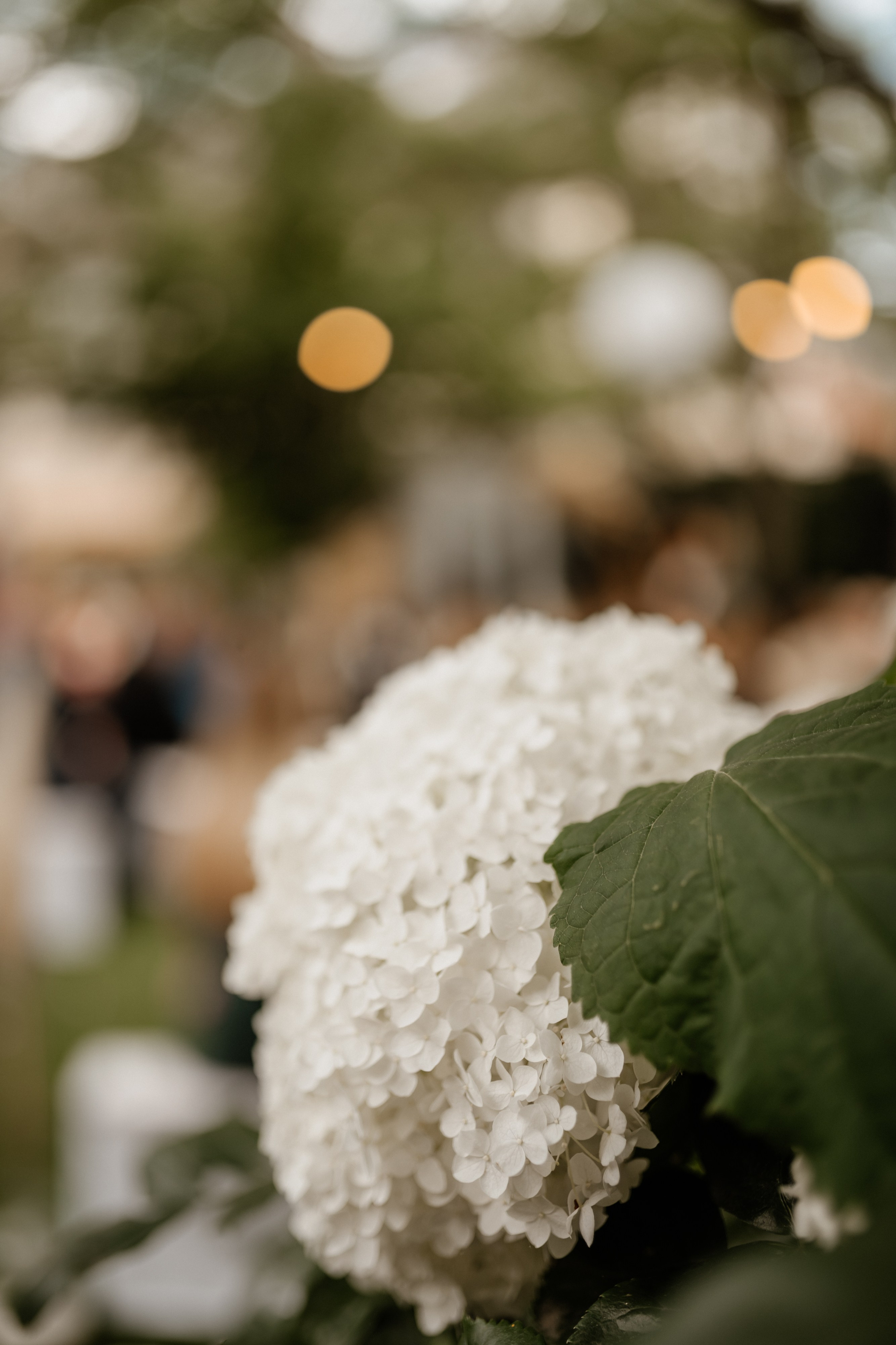 Hochzeit im Landhaus Odaia – Emotionale Hochzeitsfotos | Hochzeitsfotografin Würzburg. Anna Saribekyan – Beste Hochzeitsfotografin in Würzburg, Top 10 in Deutschland