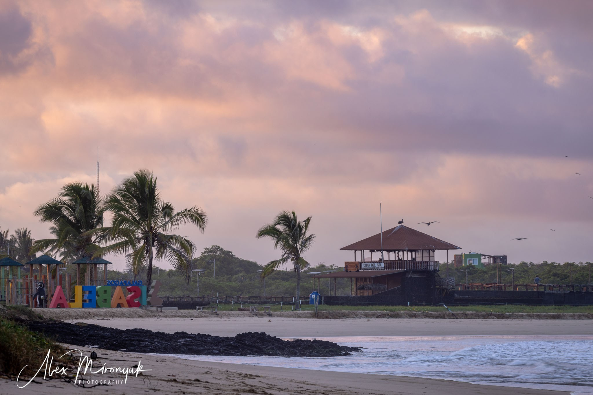 Galapagos Islands Adventure. Alex Mironyuk Photography