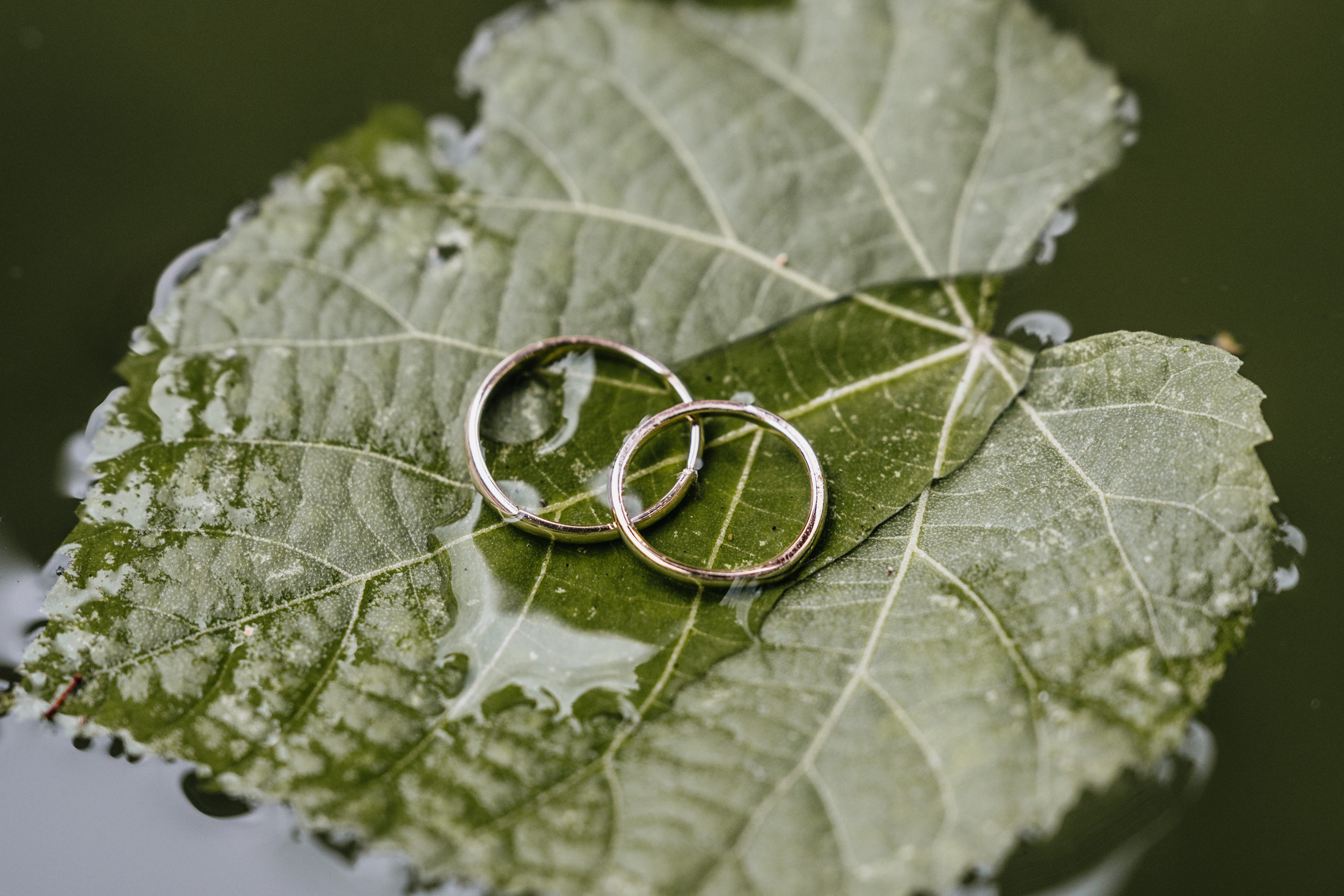 Ina & Aleksandar. Wedding photography