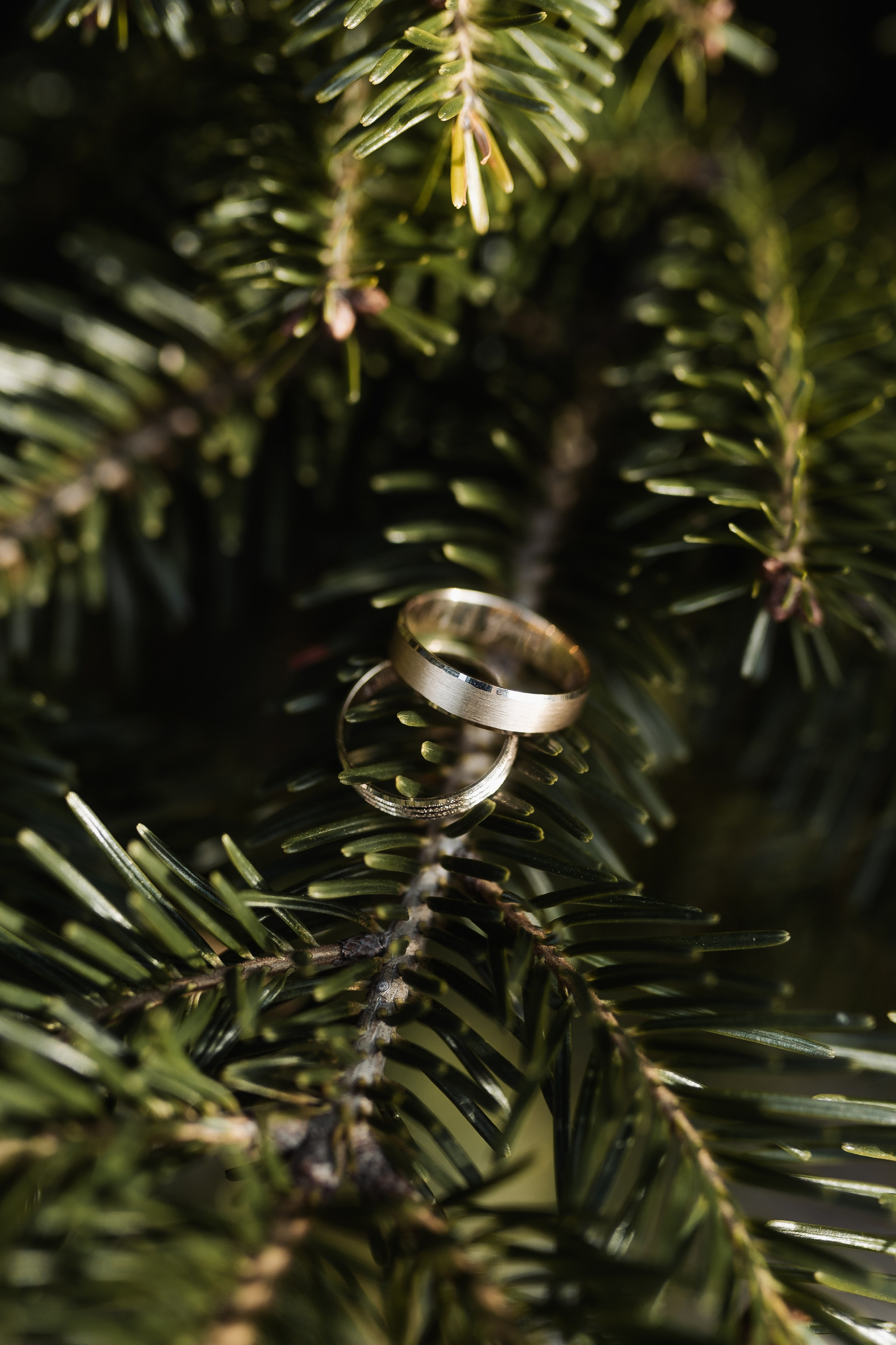 Fotografija. Photo Factory Weddings