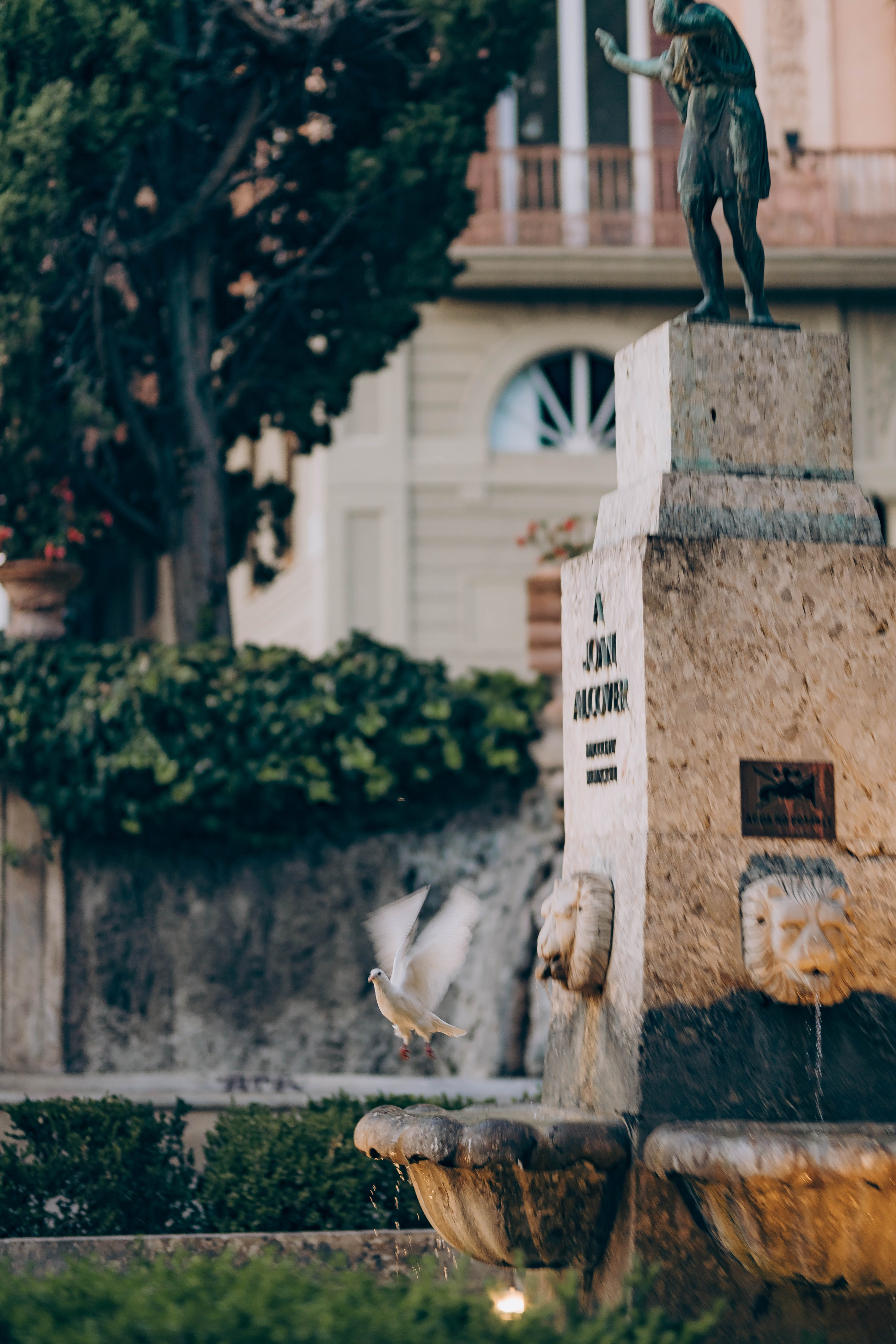 Sister and Bro. Photographer in Mallorca