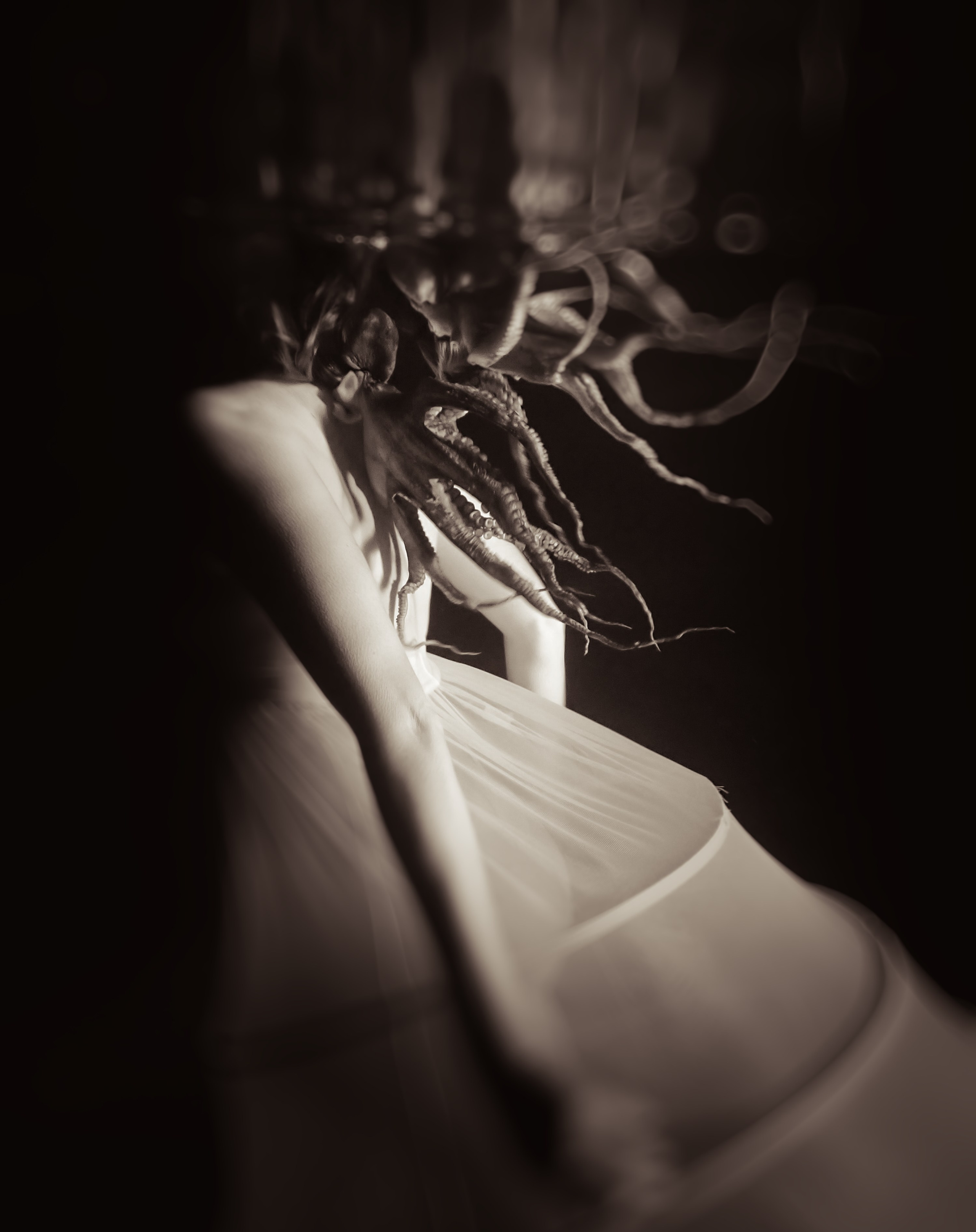 Photo by Kari Bishop