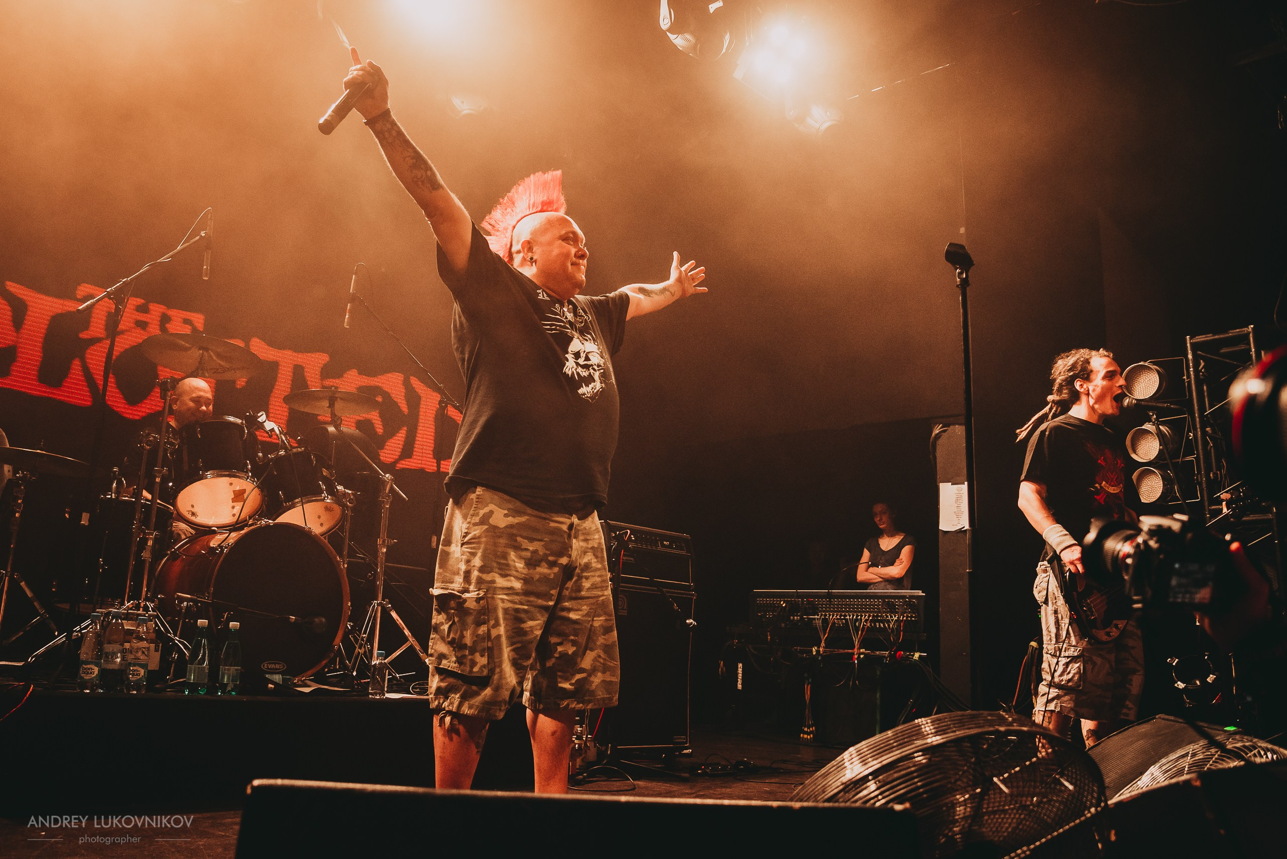 The Exploited. Tour 2017