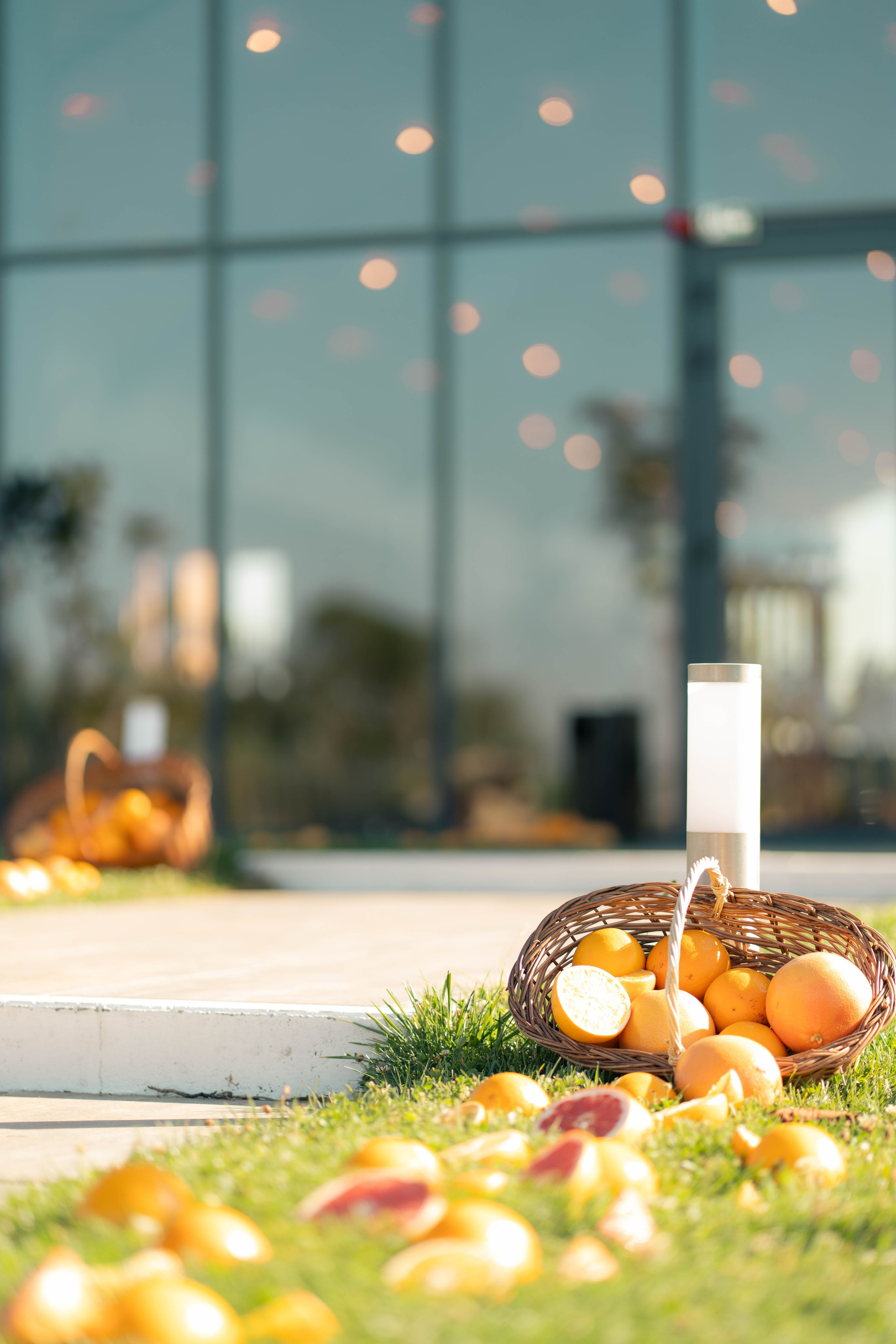 Fotograf profesionist Bucuresti - Tudor Banescu