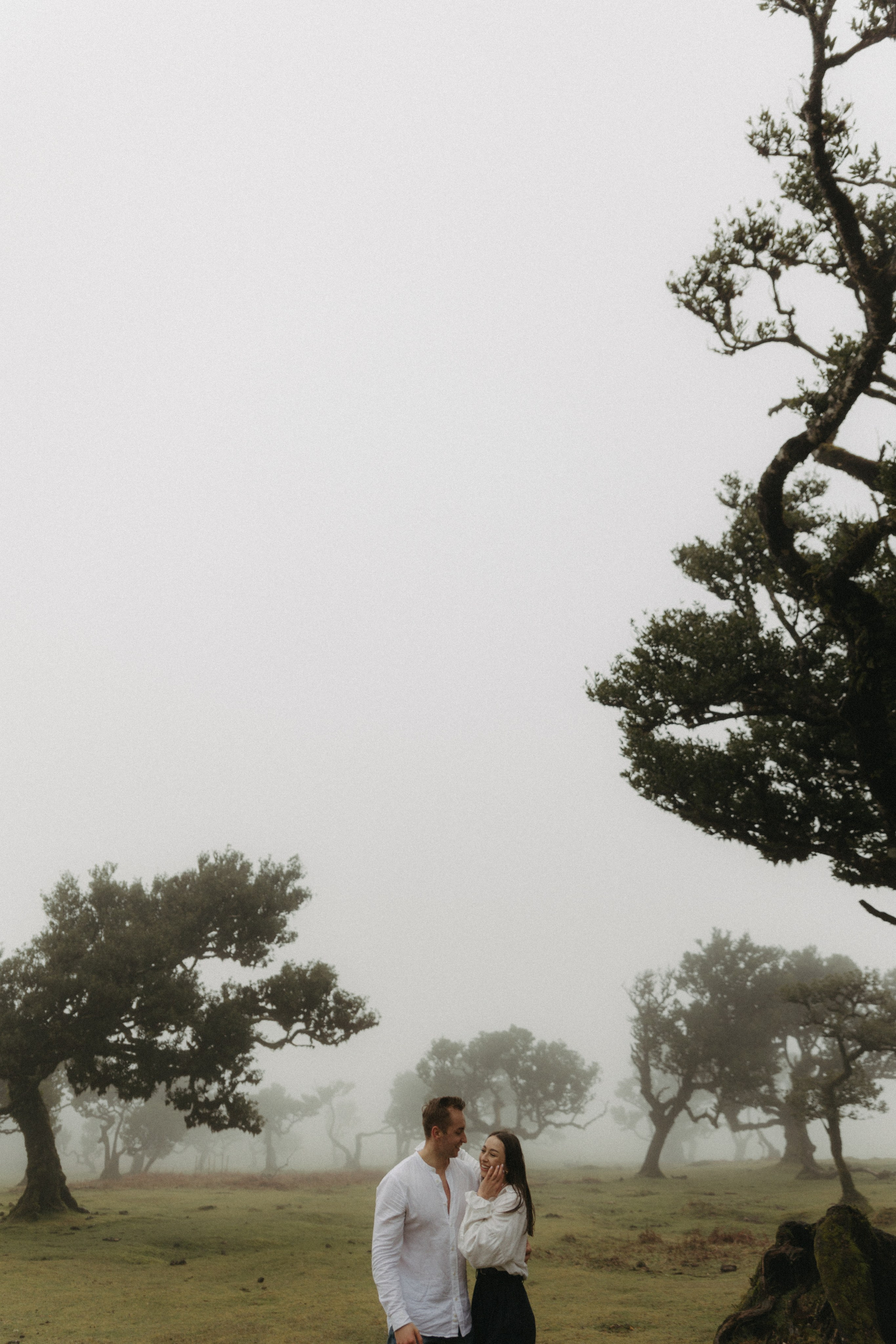 Magic of Fanal Forest. Wedding photographer and videographer based in Timisoara, Romania
