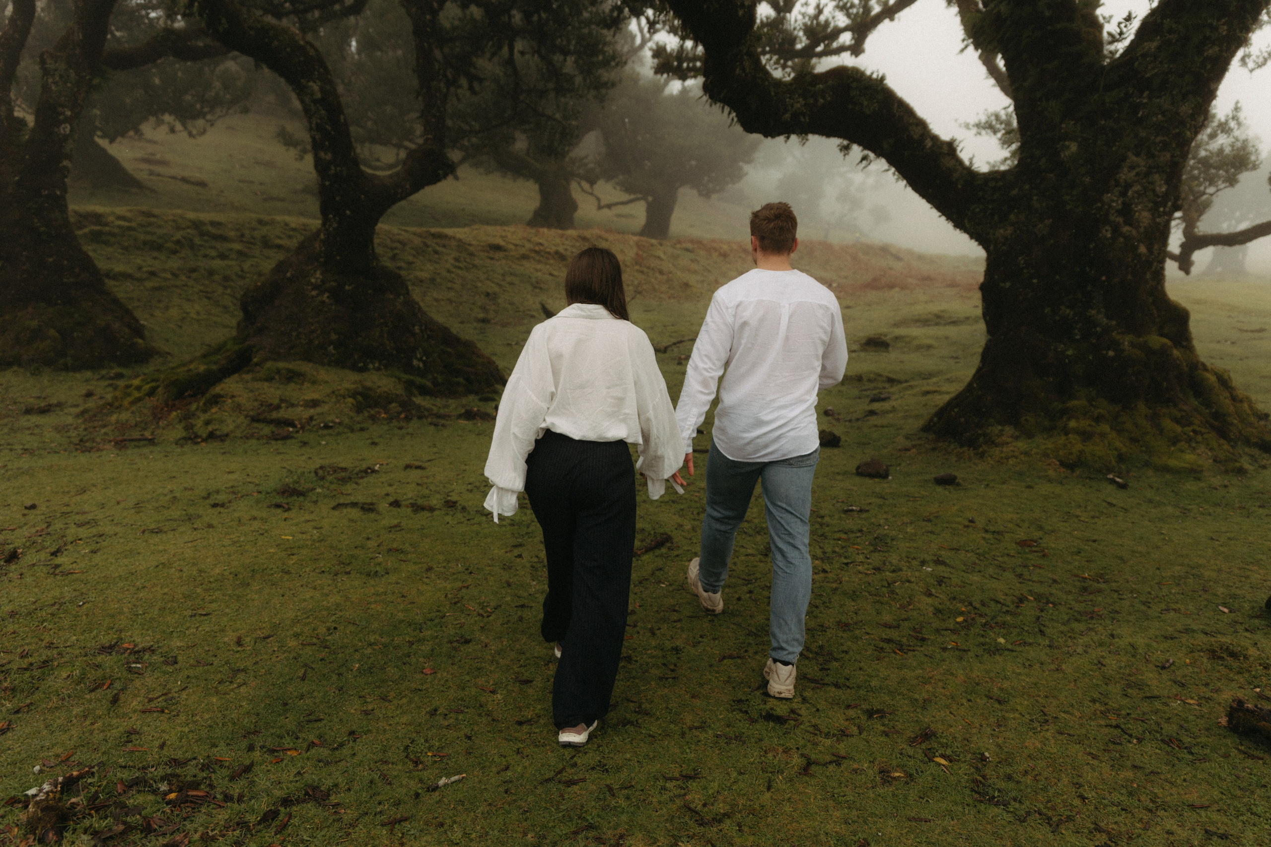 Magic of Fanal Forest. Wedding photographer and videographer based in Timisoara, Romania