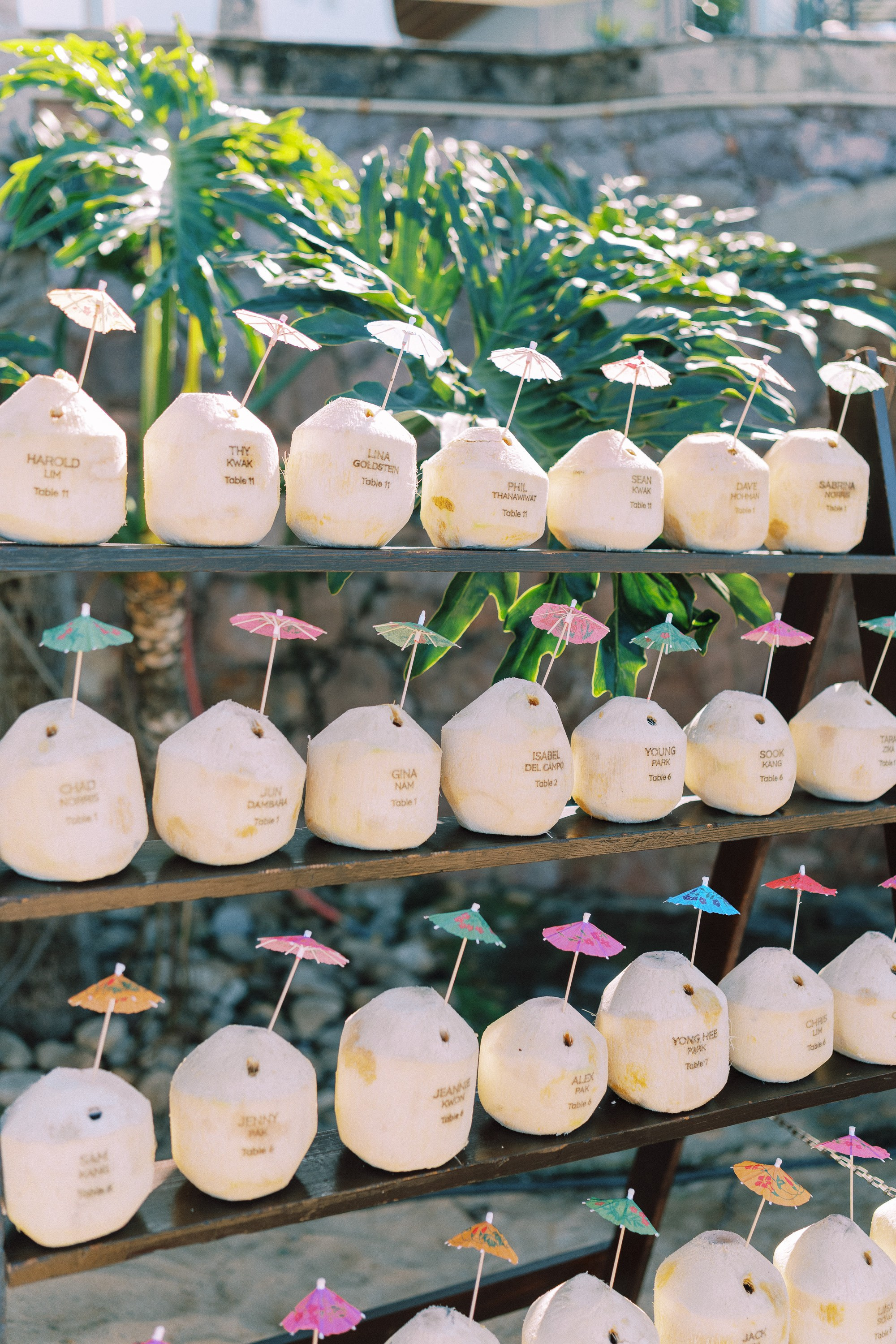 Double Wedding. Sayulita Wedding Photographer, Puerto Vallarta, Cabo