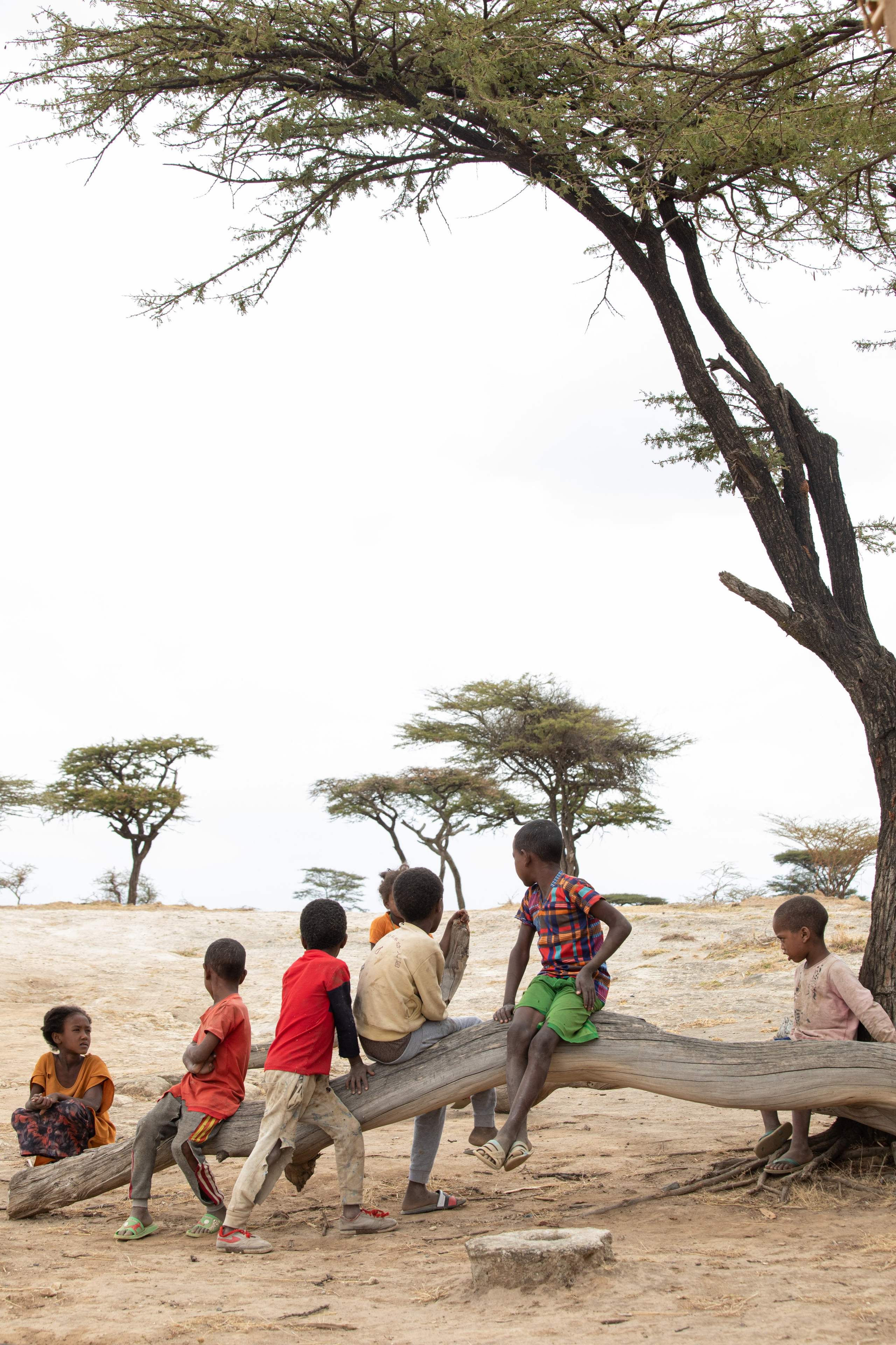 Abijatta-Shalla,  Ethiopia