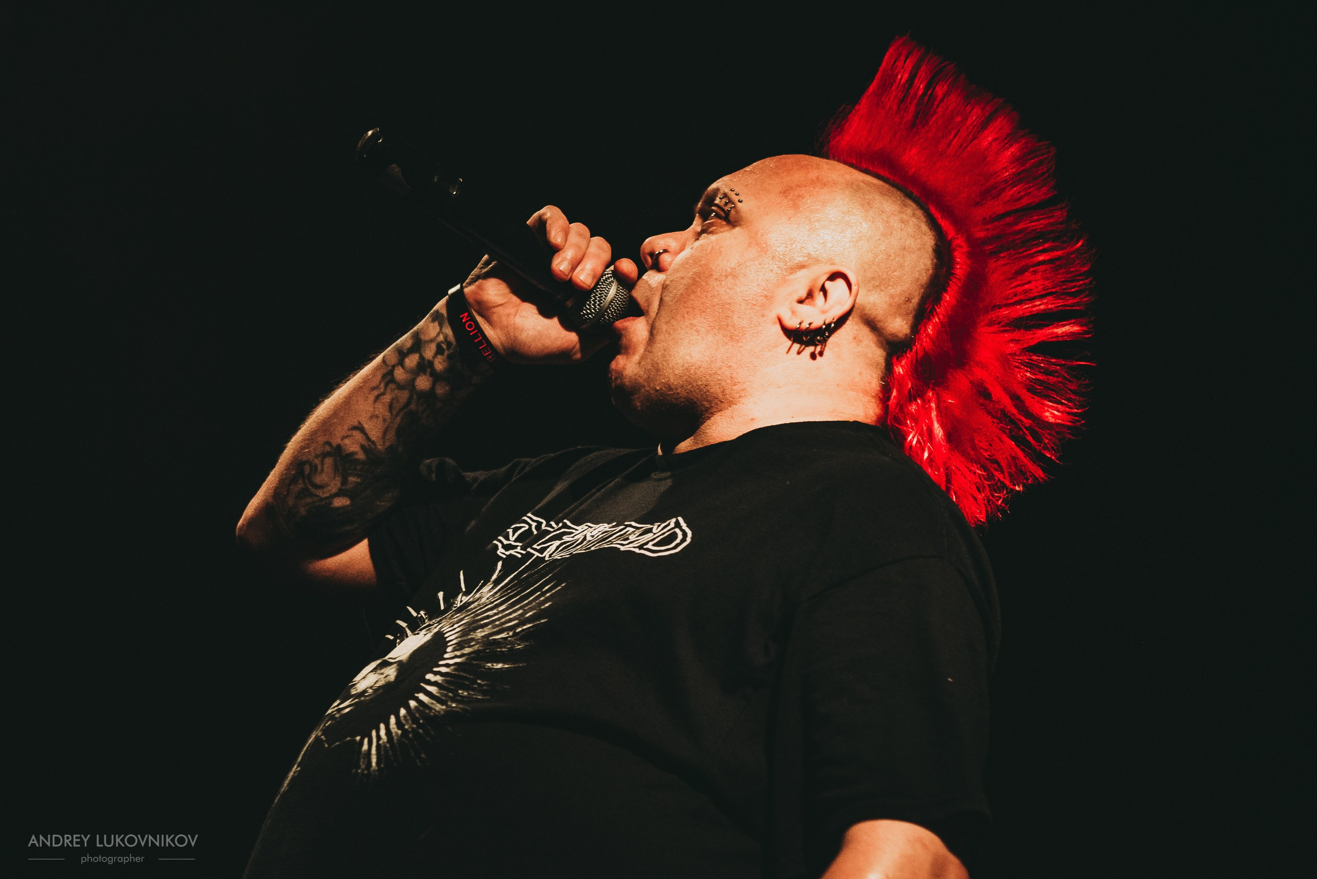 The Exploited. Tour 2017
