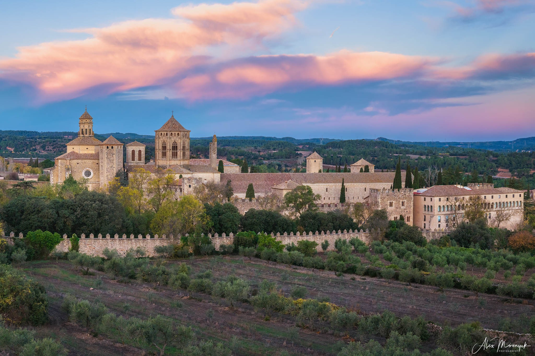 Catalonian Medieval Castles. Pet, Senior, Landscape, portrait studio, photographer in Miami and Sou