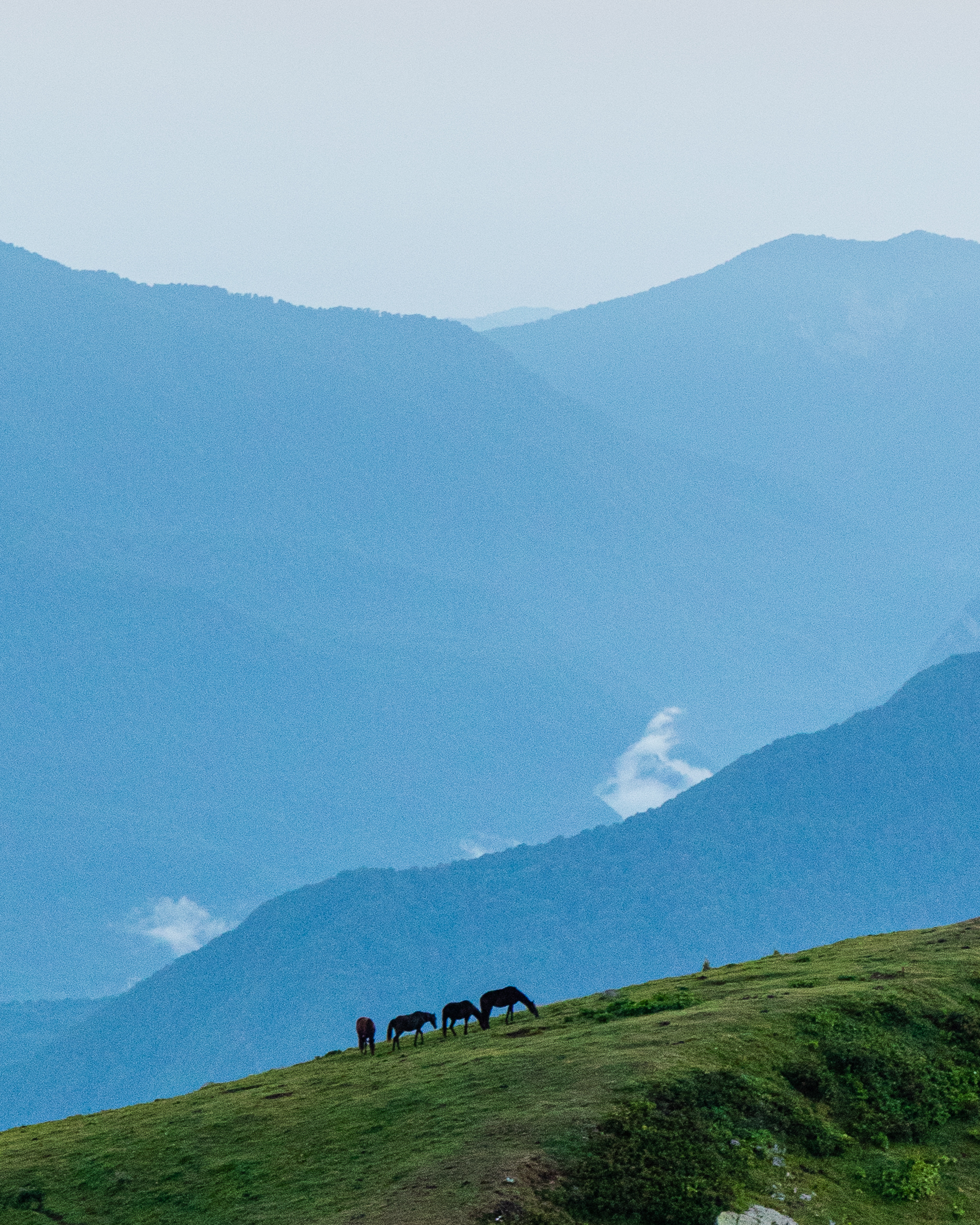 Дмитрий Сущевский фотограф, видеомэйкер