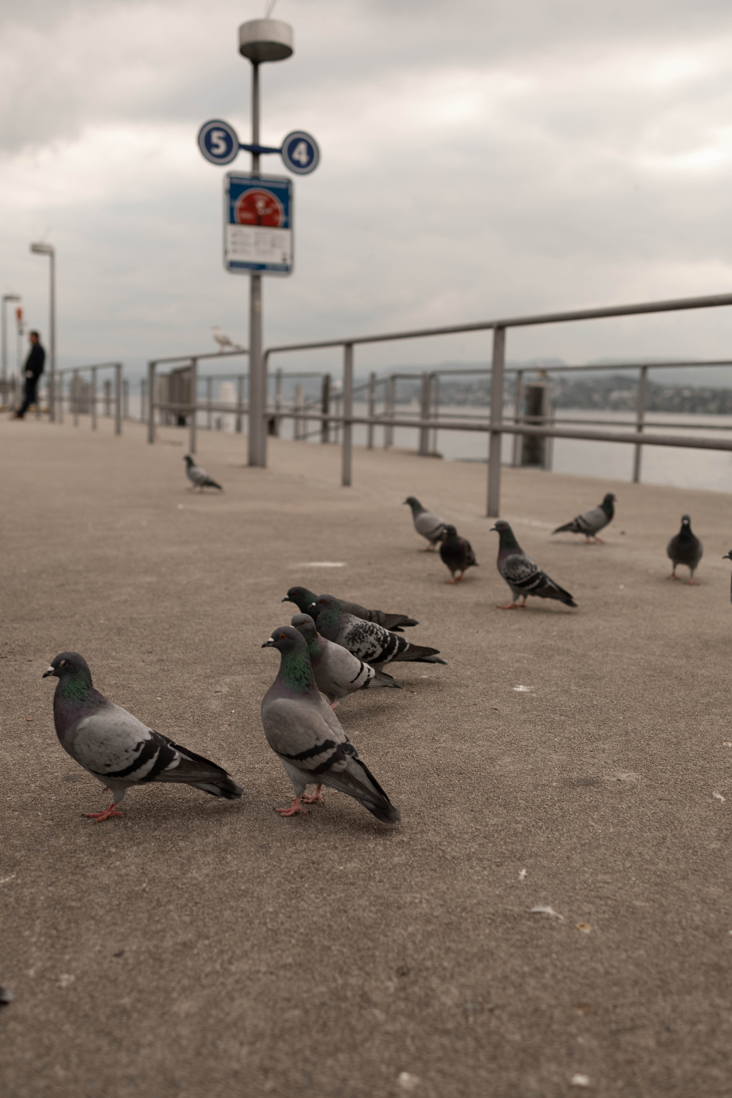 Mini-Fotoshooting!. FotoStory by Lana Gfeller / Kanton Zürich