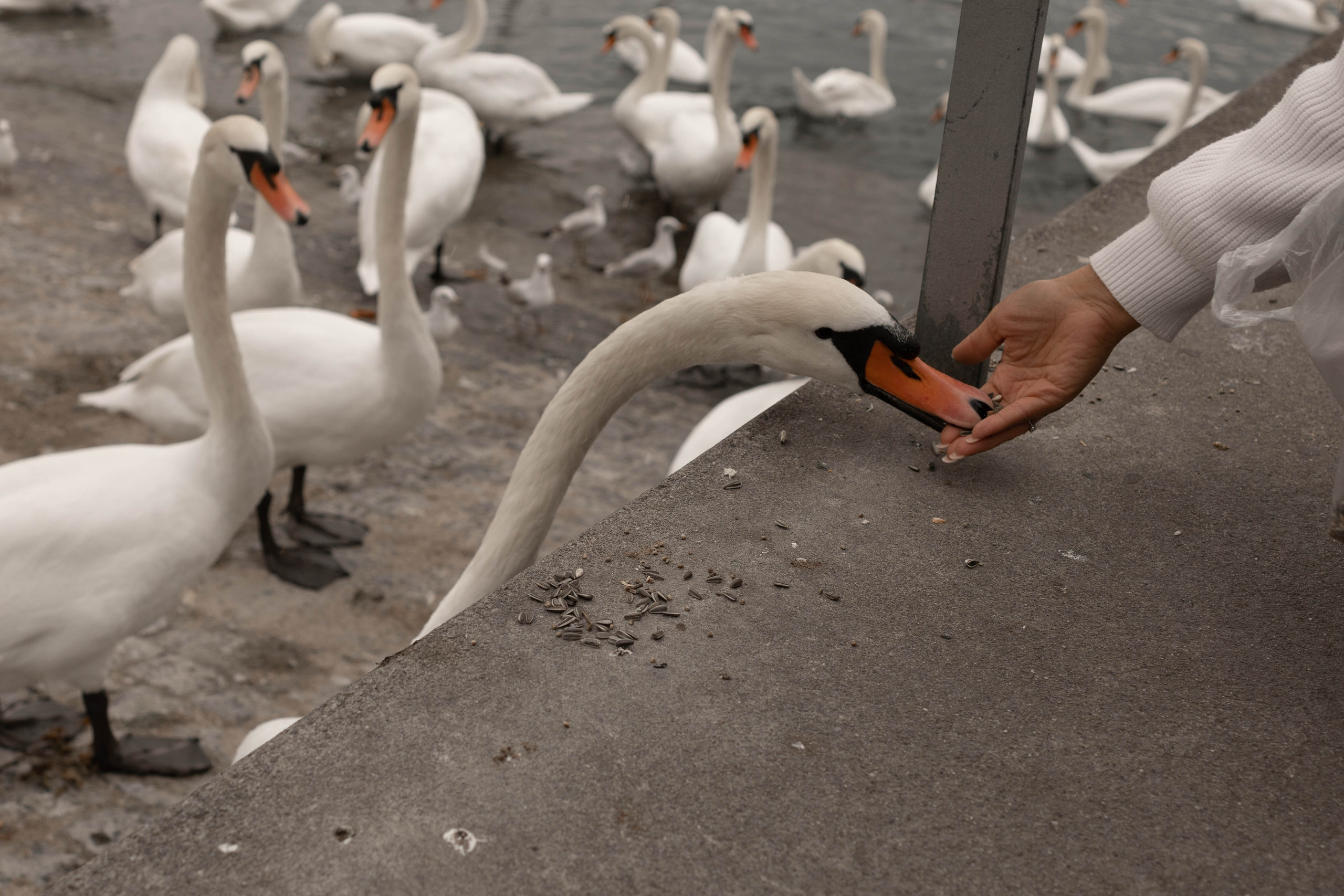 Mini-Fotoshooting!. FotoStory by Lana Gfeller / Kanton Zürich