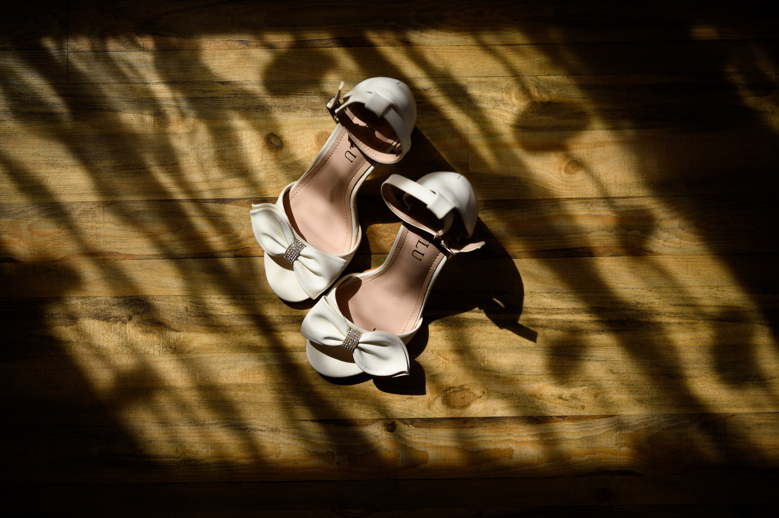 Andreea & Nicolae. Alin Doana Visual Art