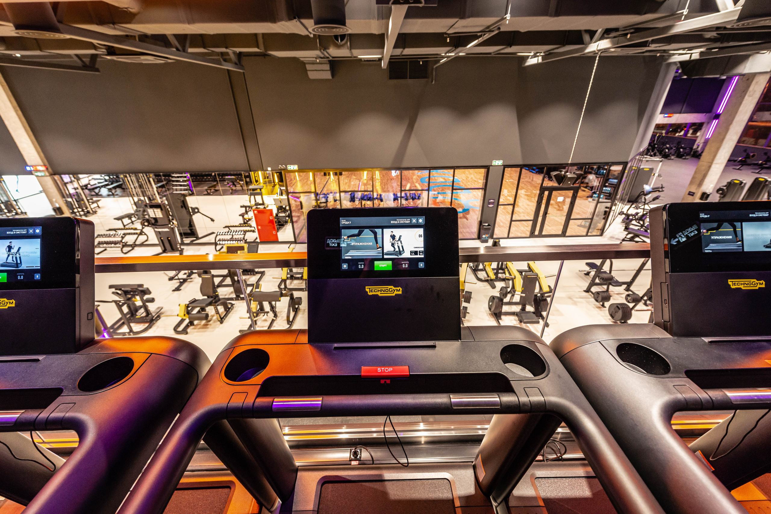 DDX Fitness Митино. ФОТОГРАФ МЕКСИКА КИНТАНА-РОО