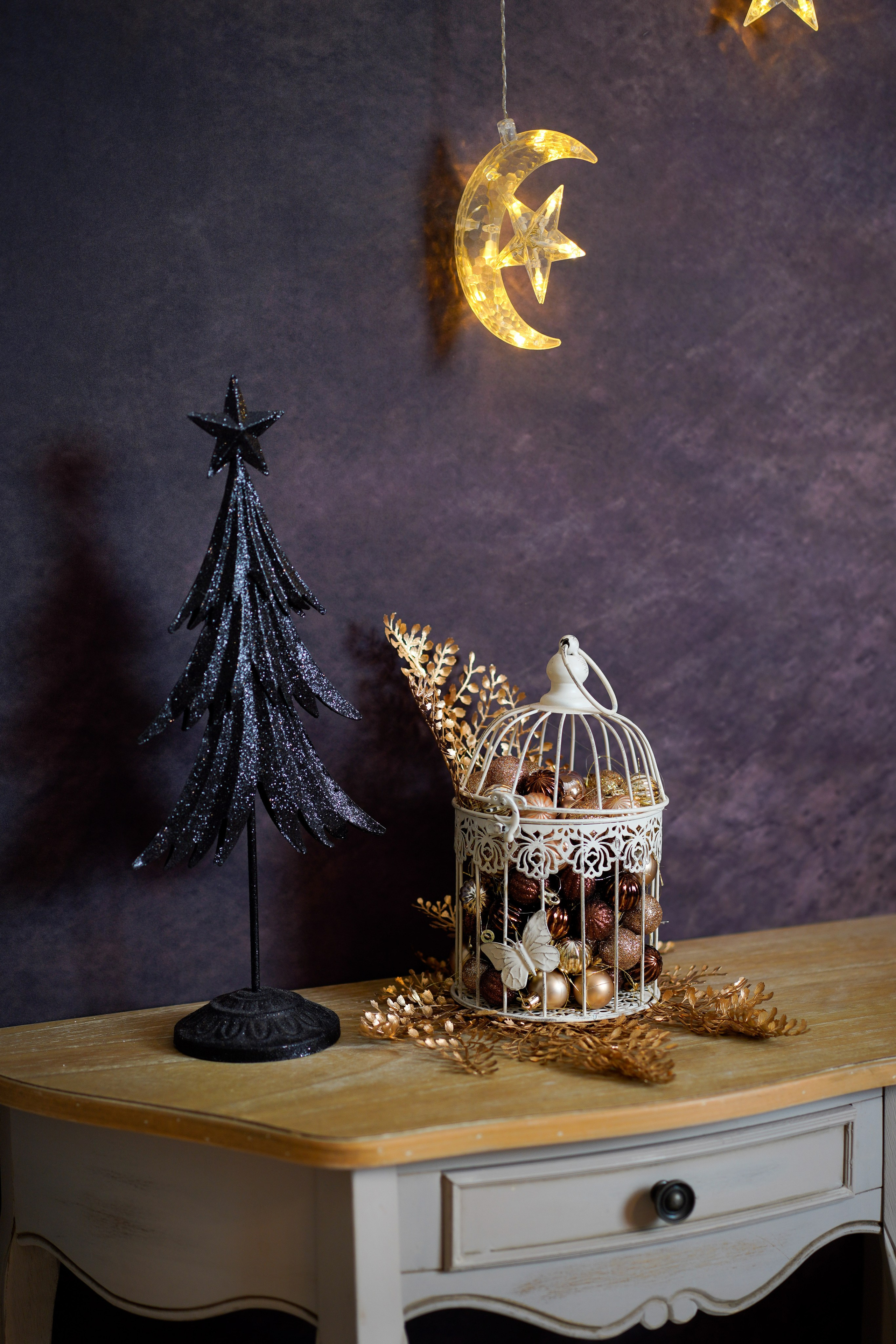 Sedinta foto Craciun. Cuibul foto