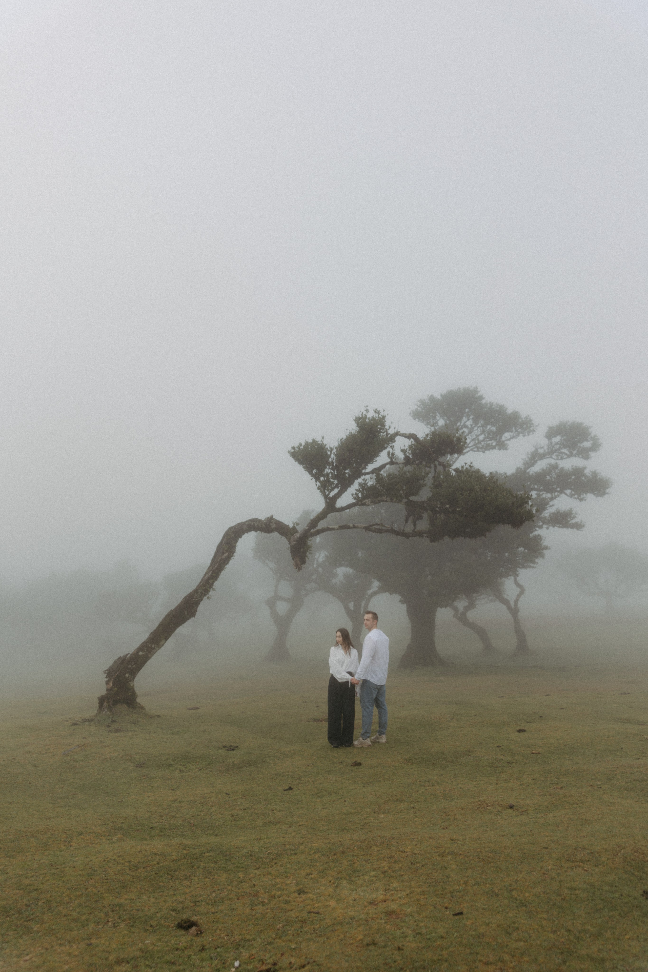 Magic of Fanal Forest. Wedding photographer and videographer based in Timisoara, Romania
