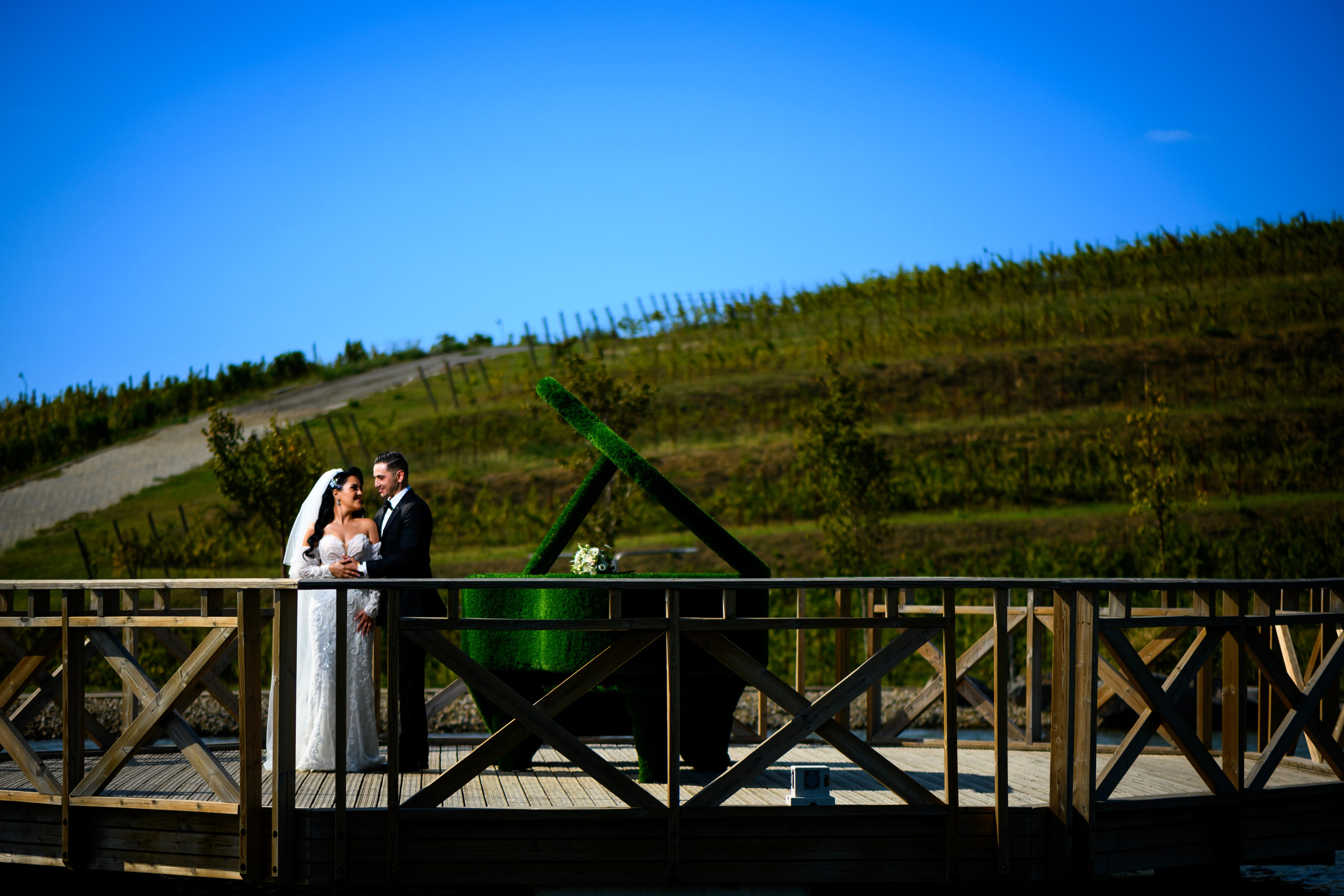 Roxana & Cristi. Alin Doana Visual Art