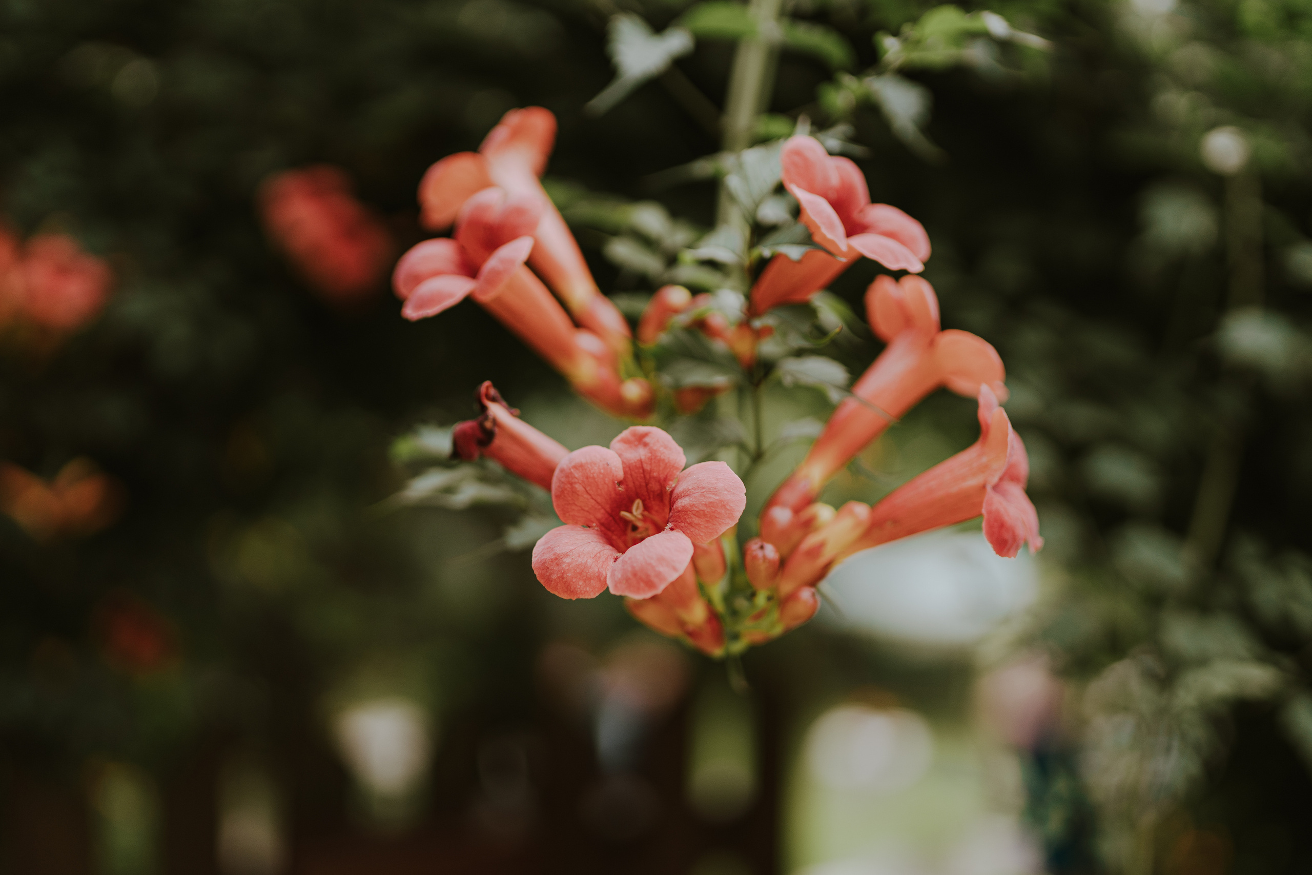 Ania&Jasiek. Fotograf ślubny Śląsk – reportaż ślubny | KarkowskaFoto