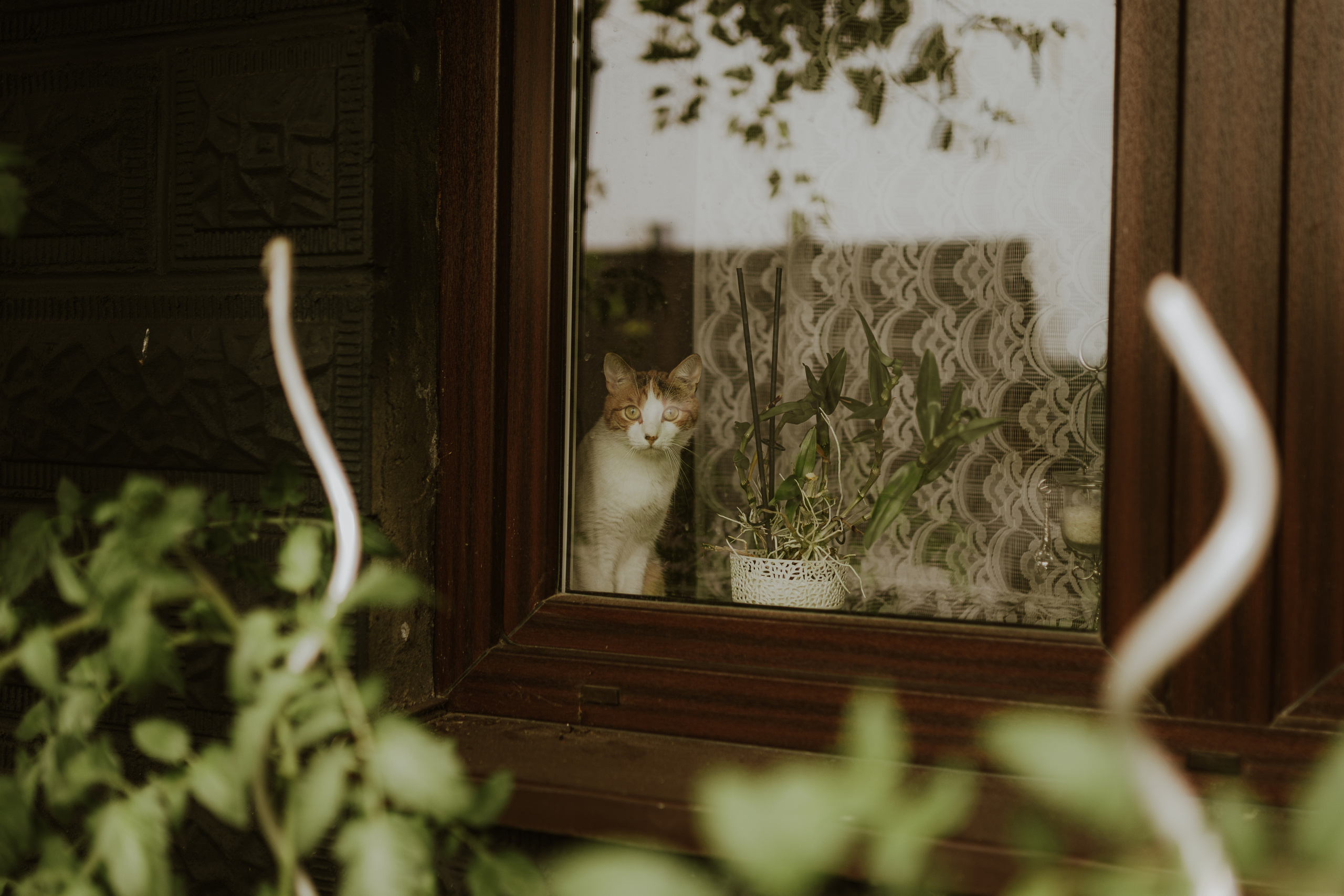 Ania&Jasiek. Fotograf ślubny Śląsk – reportaż ślubny | KarkowskaFoto