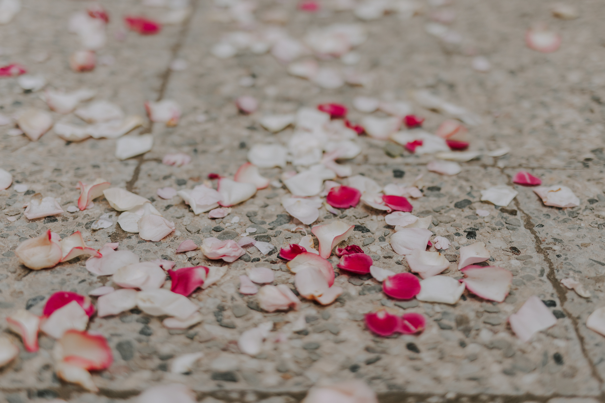 Ślub plenerowy na zamkuw Ogrodzieńcu: Katarzyna&Piotr. Karkowskafoto - fotografia miłości