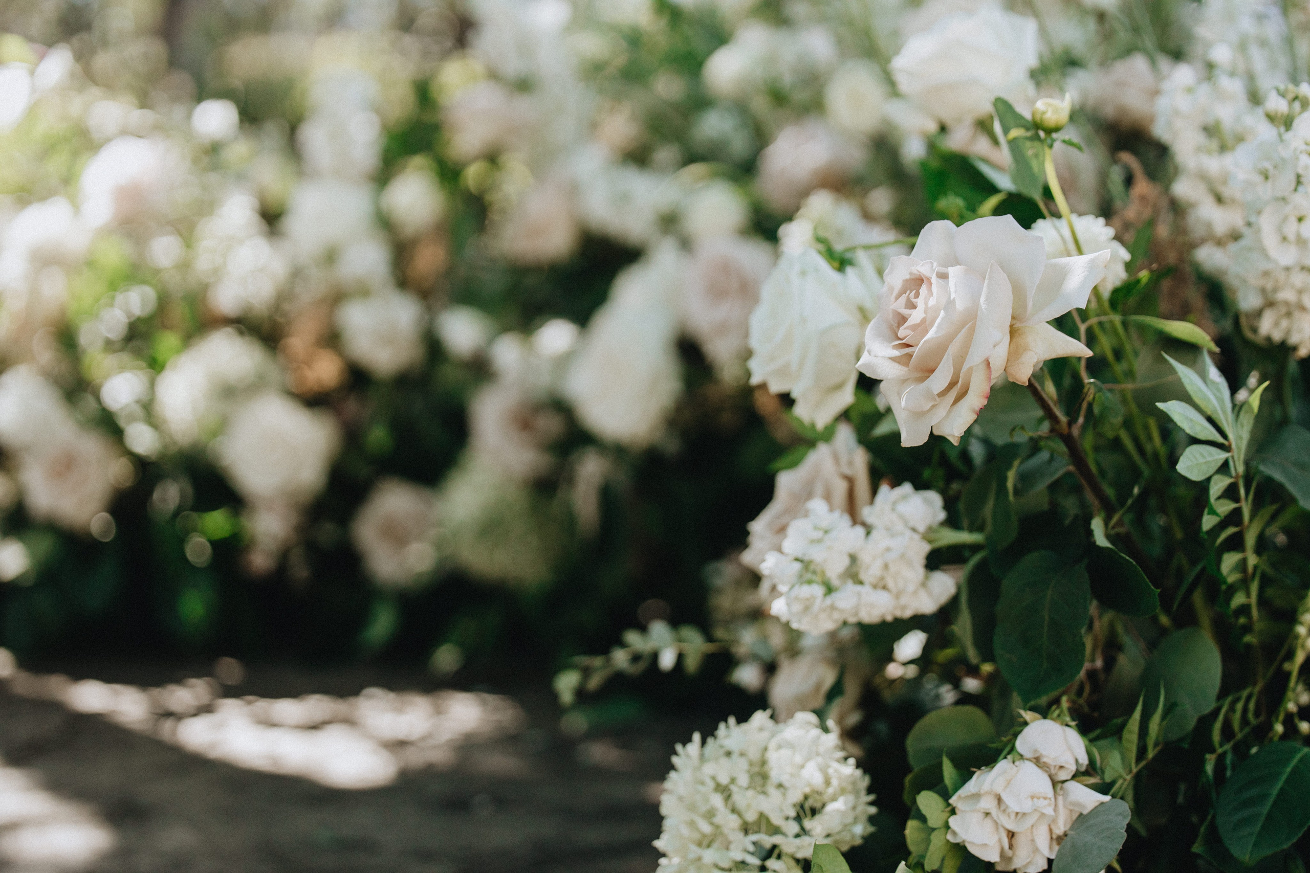 Brook & Richard's Wedding in Portland Oregon| Captured by Georgy Shishkin, Professional Wedding Photographer Seattle, Bend & Oregon Coast. Capturing Love in the Heart of the Pacific Northwes