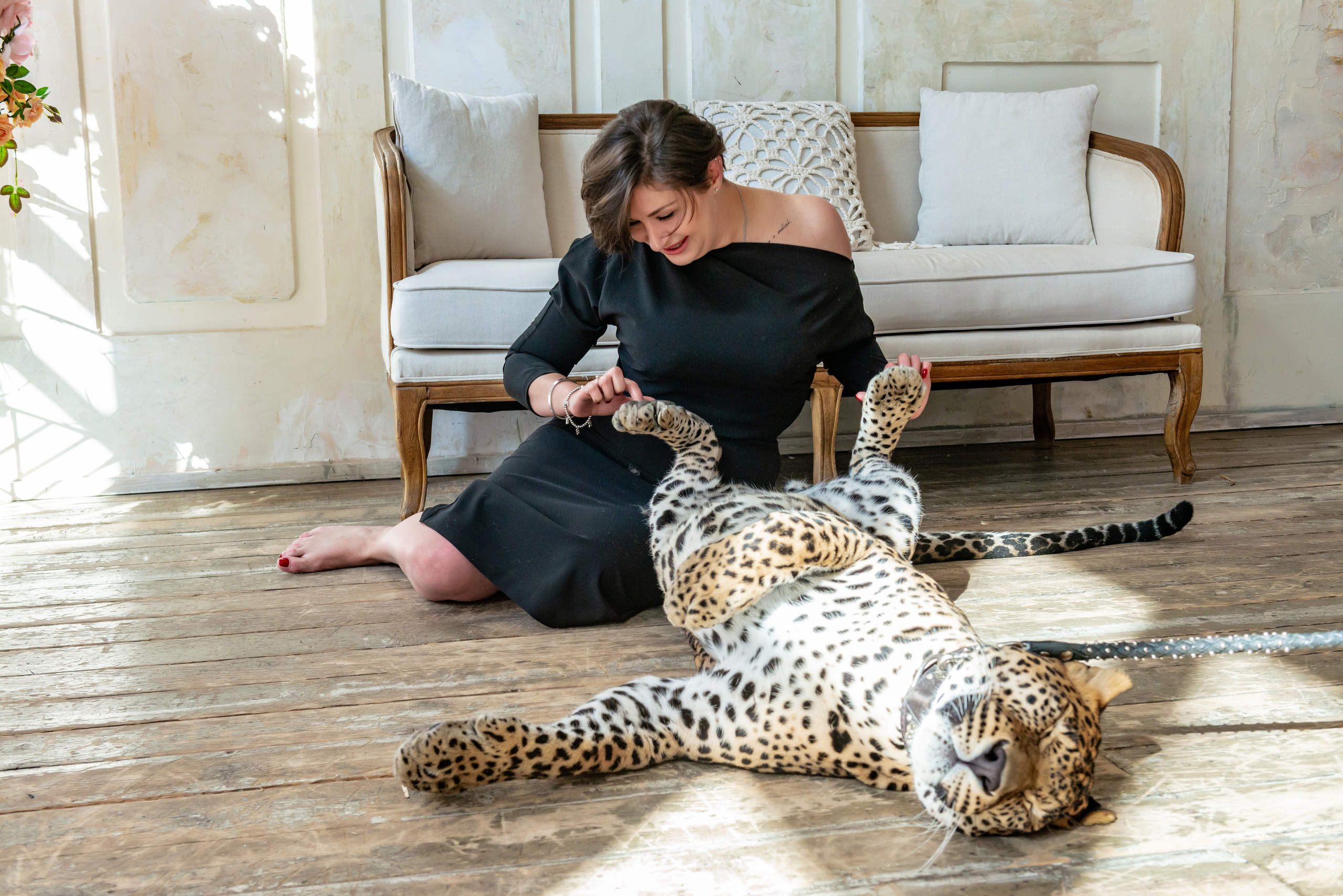 Photosession in the studio with a leopard. FOTÓGRAFO MÉXICO QUINTANA ROO