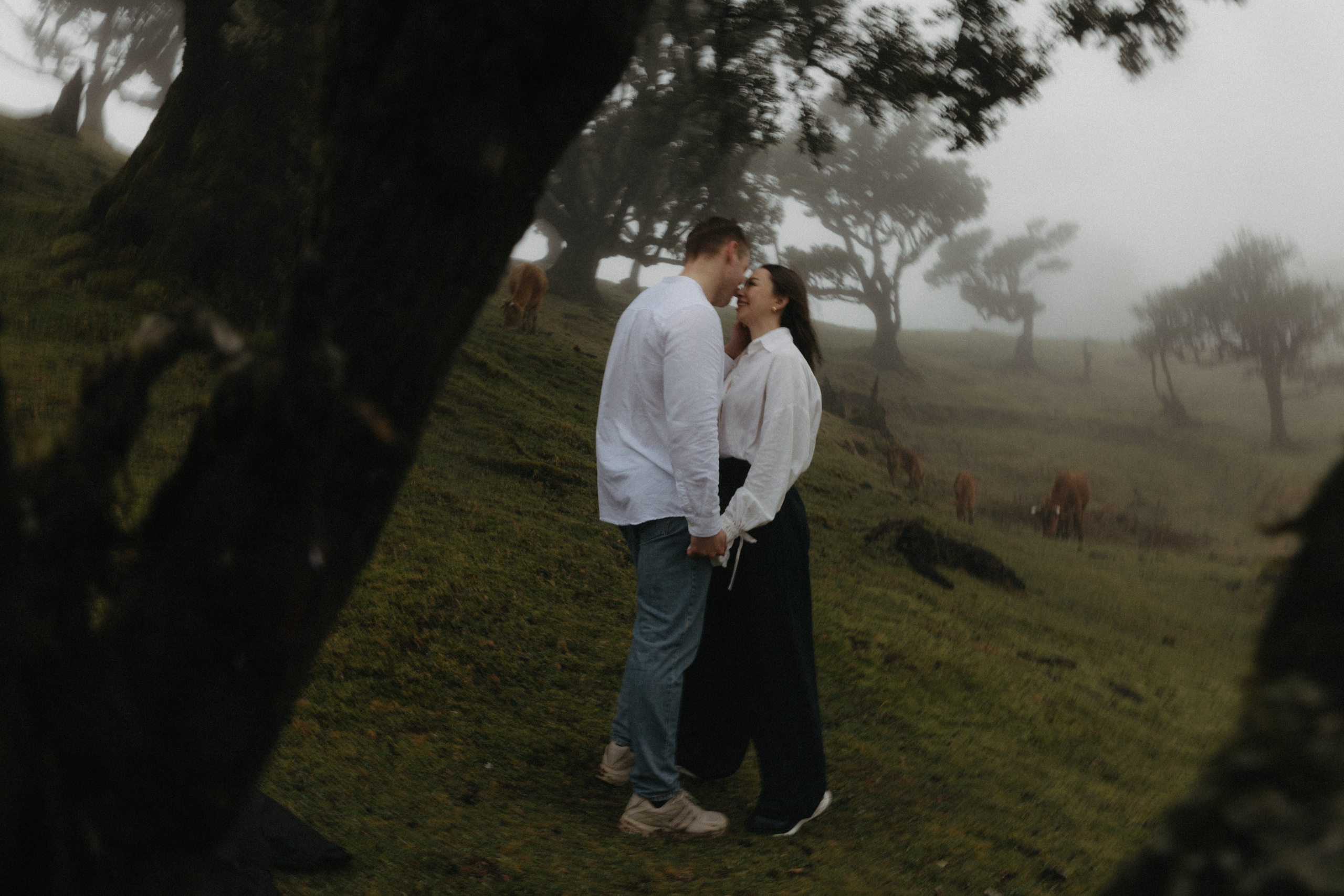 Magic of Fanal Forest. Wedding photographer and videographer based in Timisoara, Romania