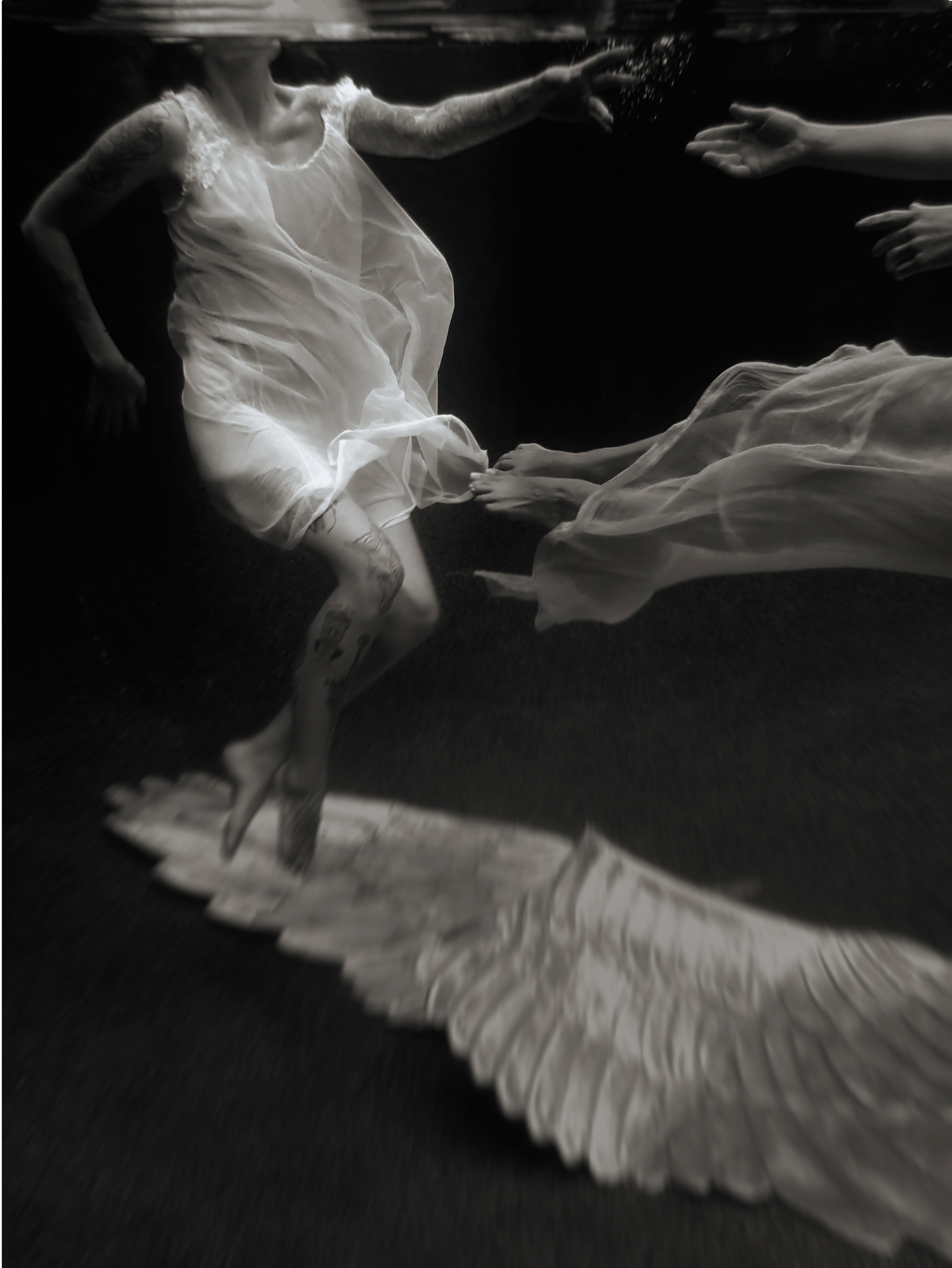 Photo by Kari Bishop