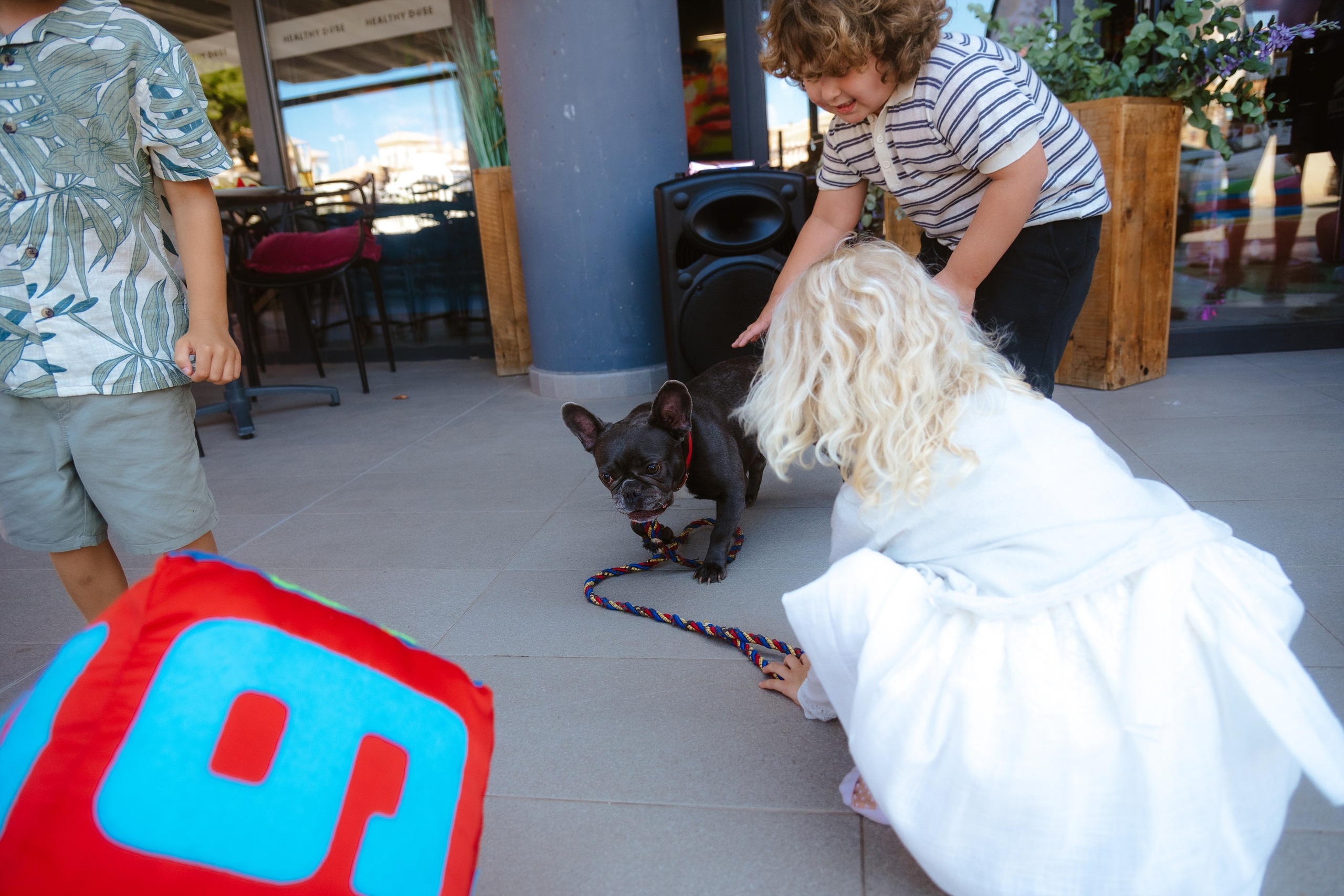 Children’s birthday photographer in Torrevieja, Alicante | Andrey Lukovnikov